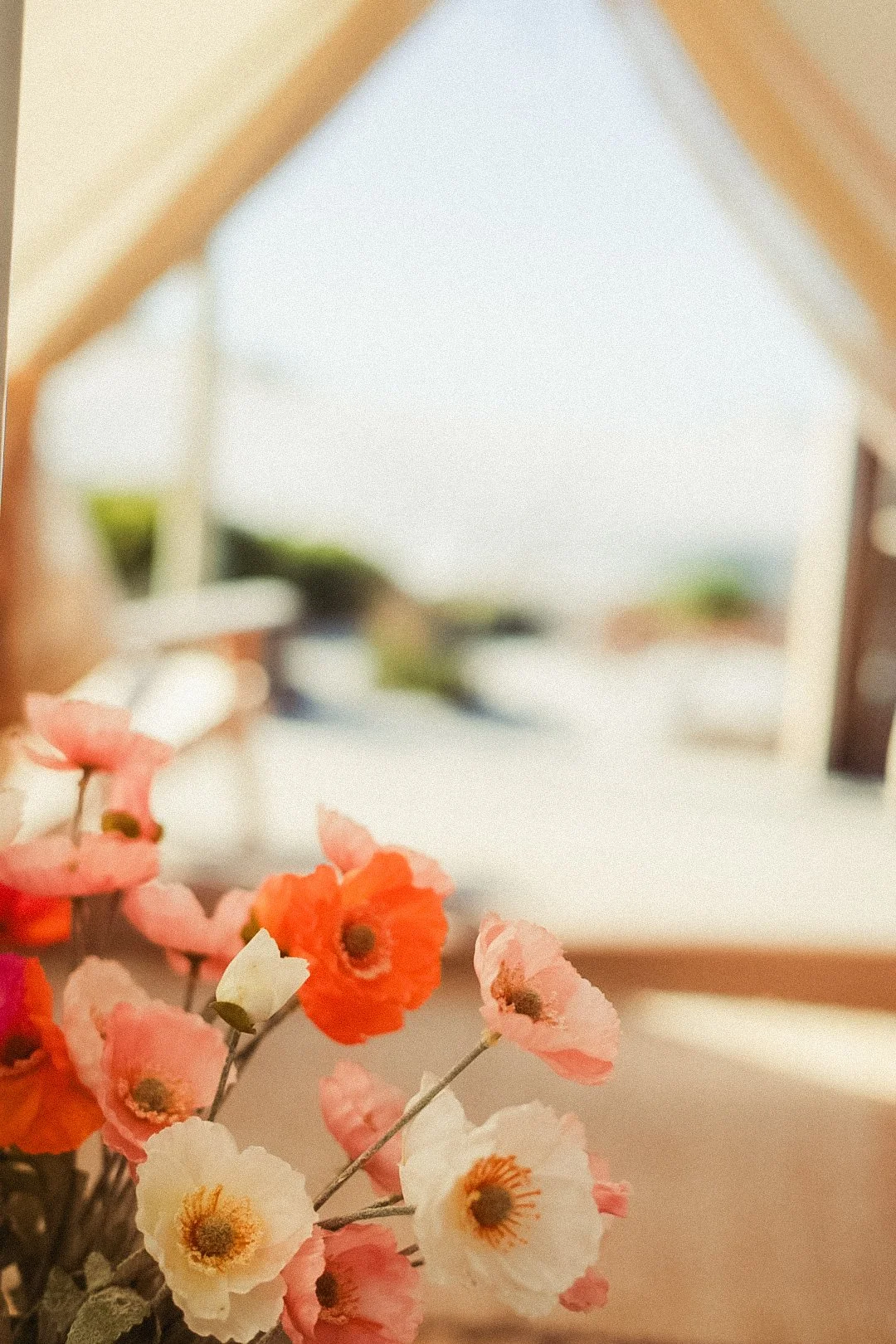 Fi Hoopman Photography