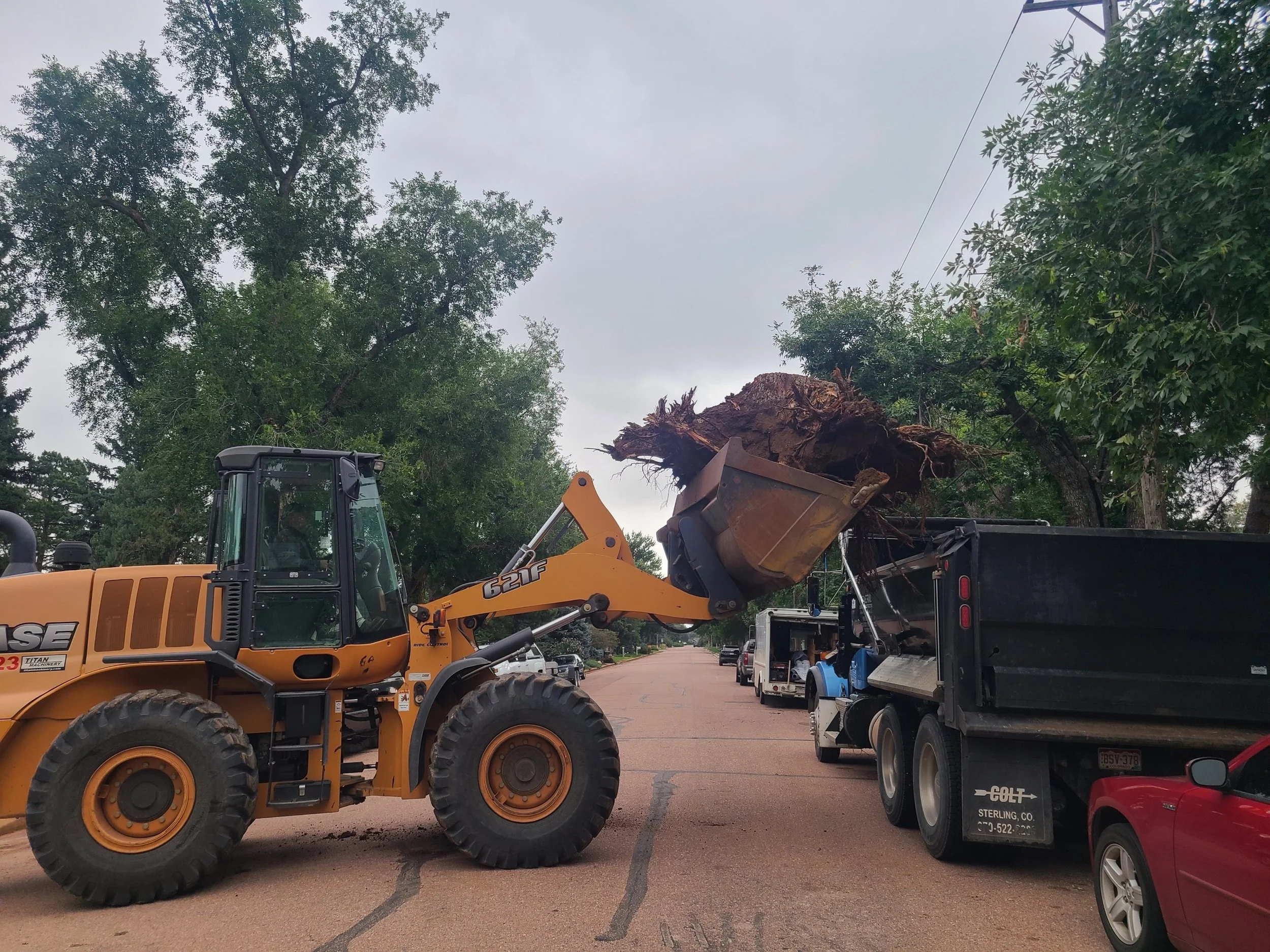 Construction equipment removing tree roots from the road