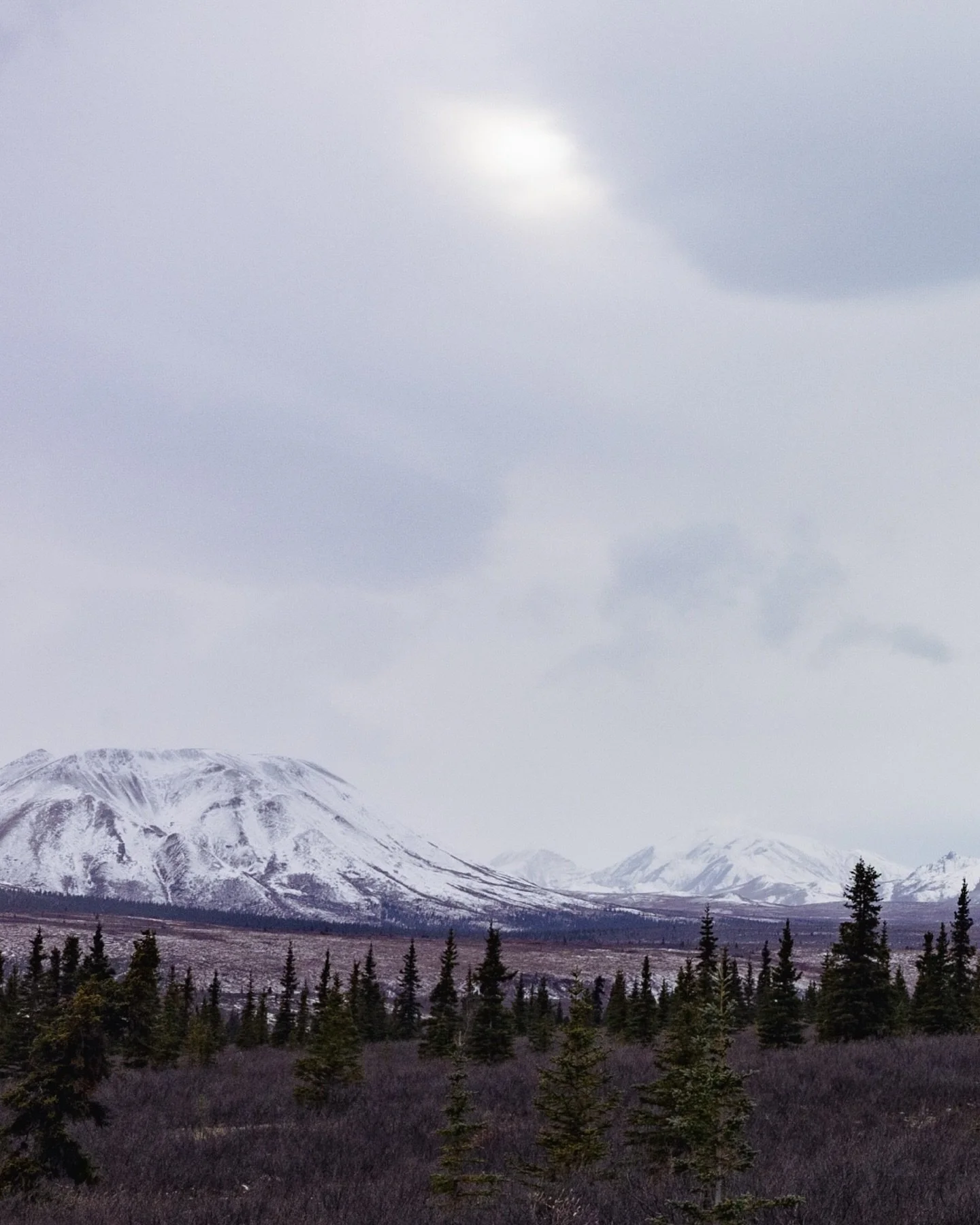 Purple peace in the Park💜💟