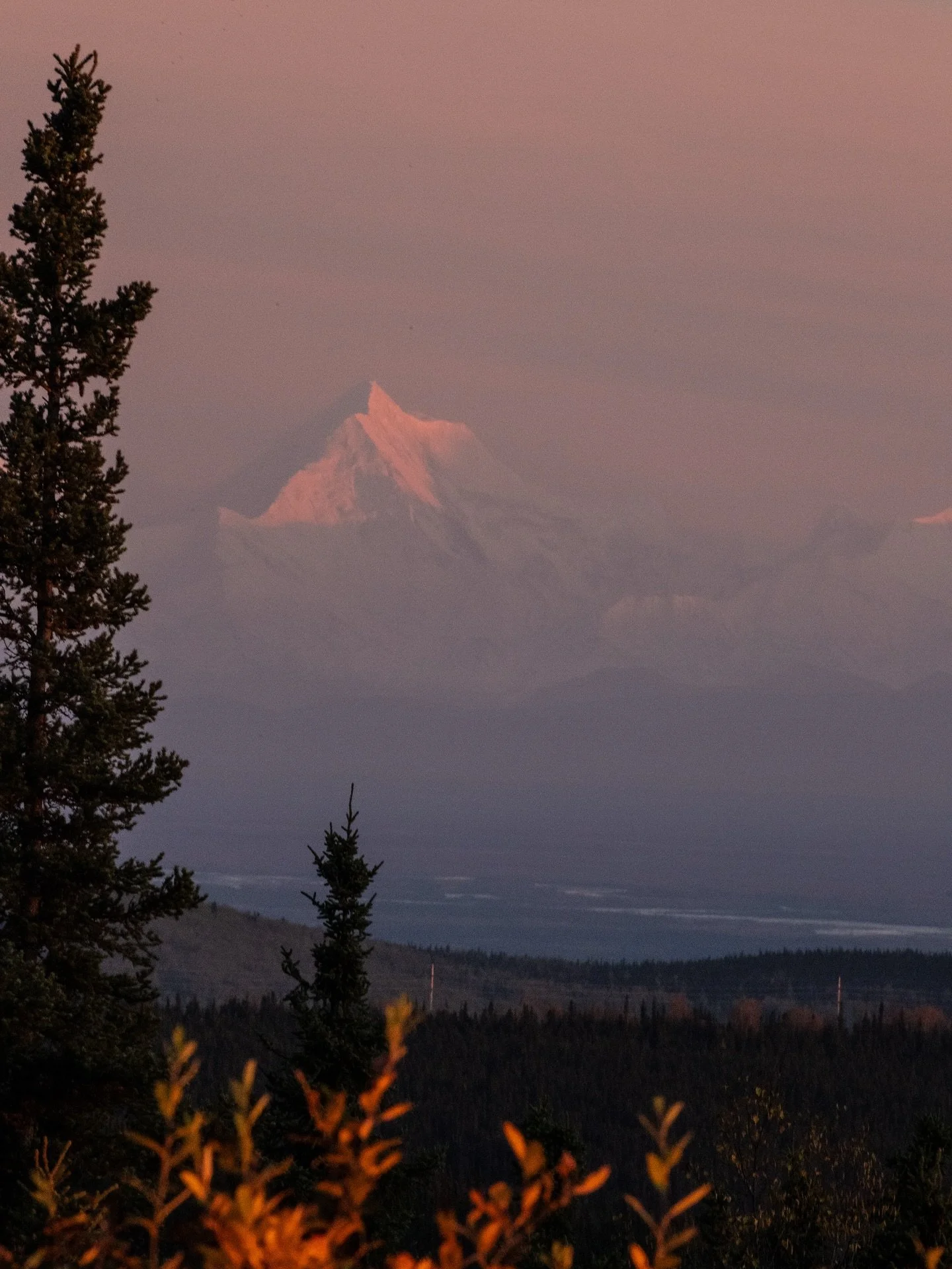 Sunny, fall Alaskan days have me feeling: 🥰💕🍁✨🍂