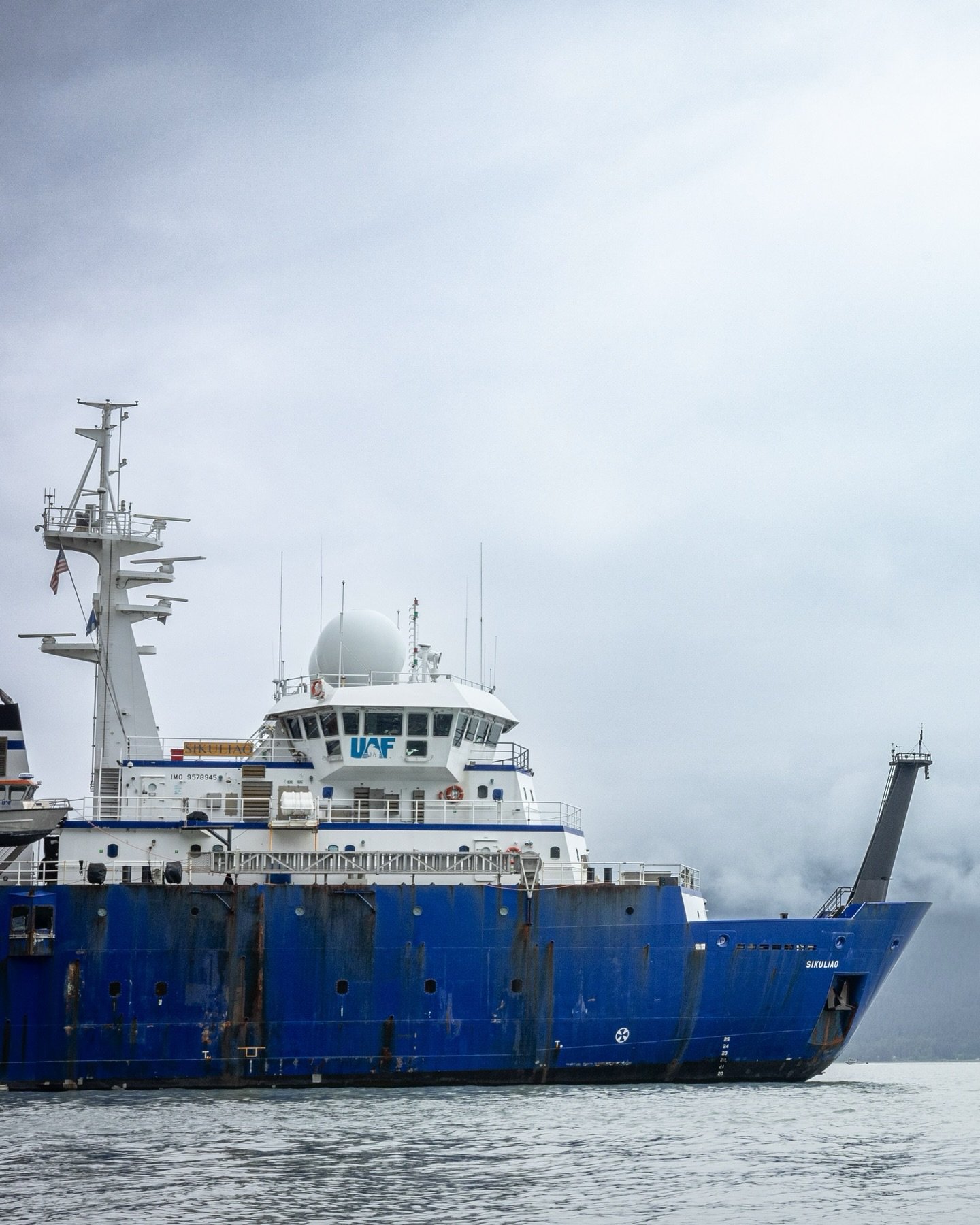 🚫🍌 on board in Seward