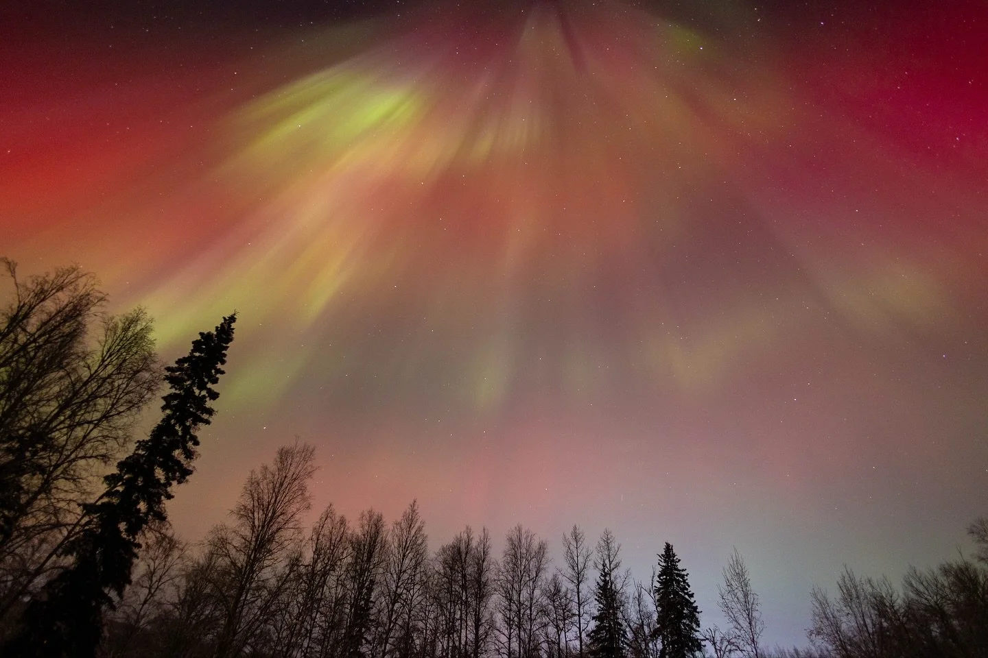 Things I said tonight: 
&ldquo;WOAH&rdquo;
&ldquo;SHUT UP&rdquo;
&ldquo;i need a wider lens&rdquo;
&ldquo;Nuh uh&rdquo;
&ldquo;This is why we live in Alaska&rdquo;