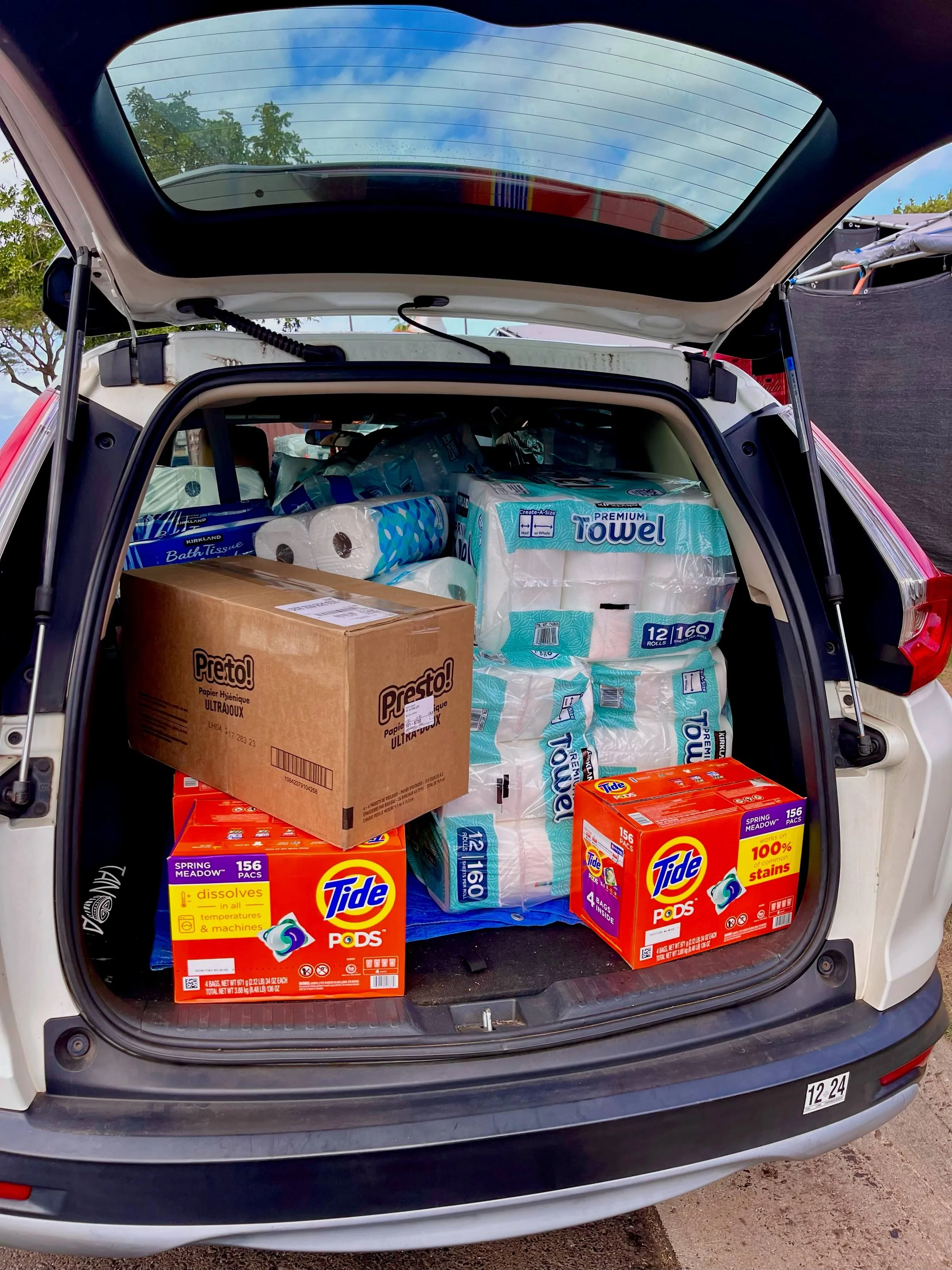 distributing-aid.jpeg