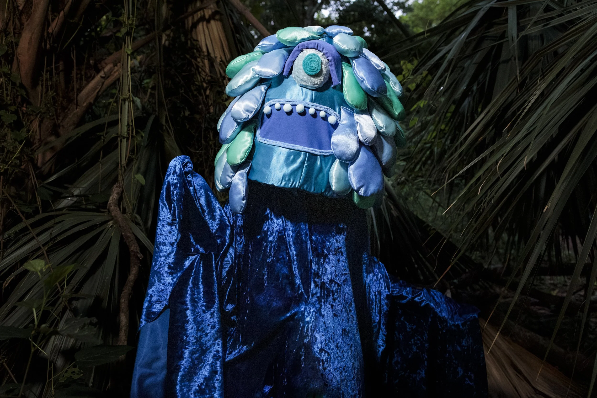 whale.jpg