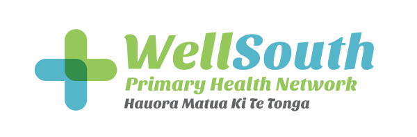 WellSouth-Logo_horizontal__ResizedImageWzYwMCwxOThd.png