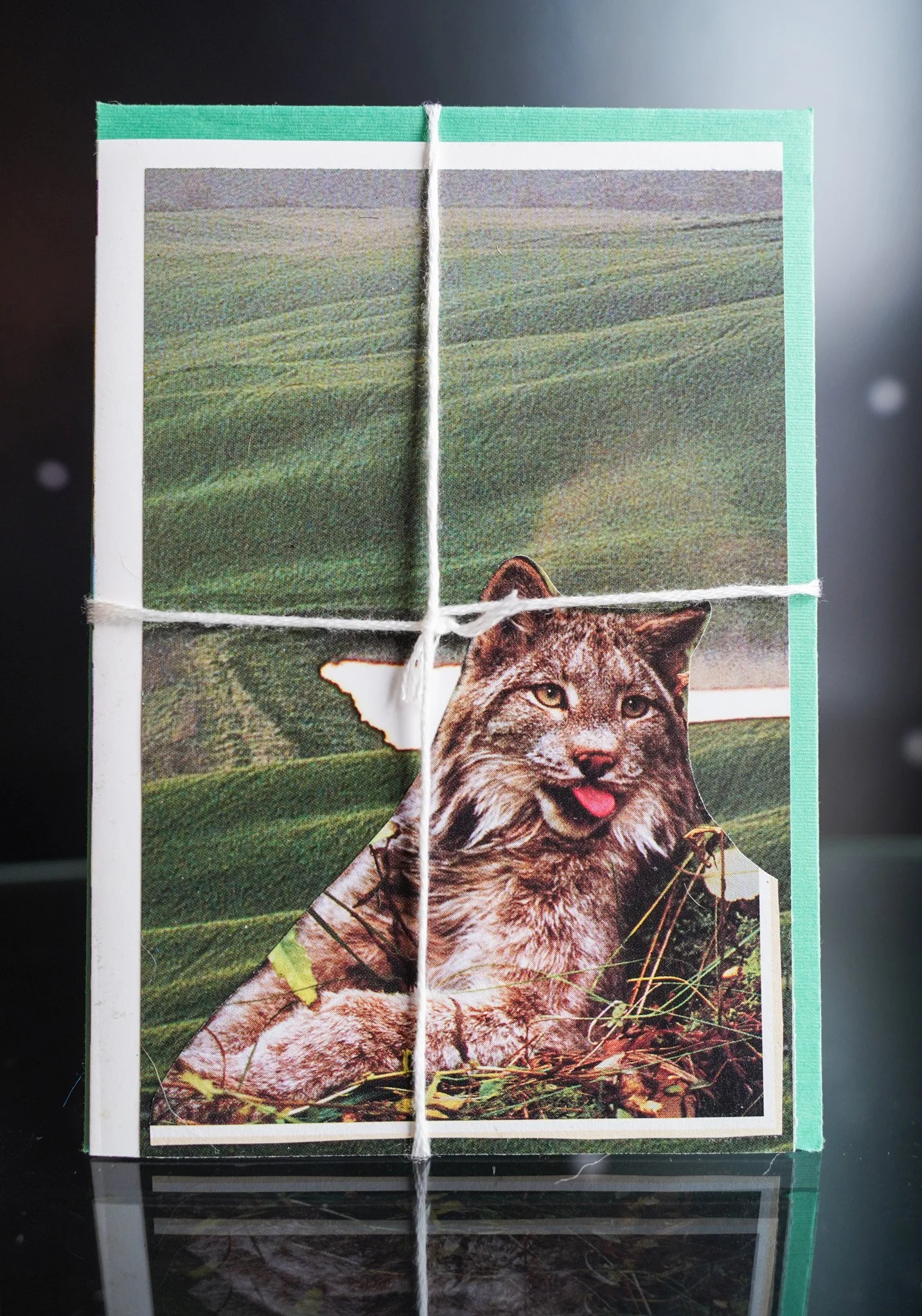 The Wild Hillside: Upcycled Lynx Card