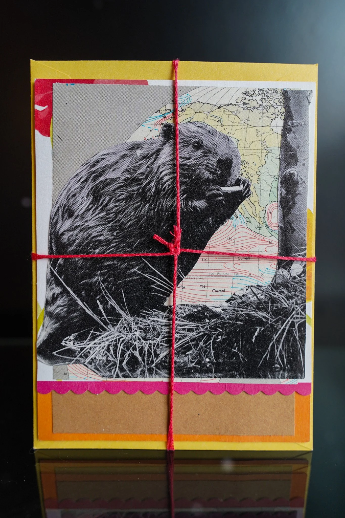 Beaver Fever: Upcycled Nature Card