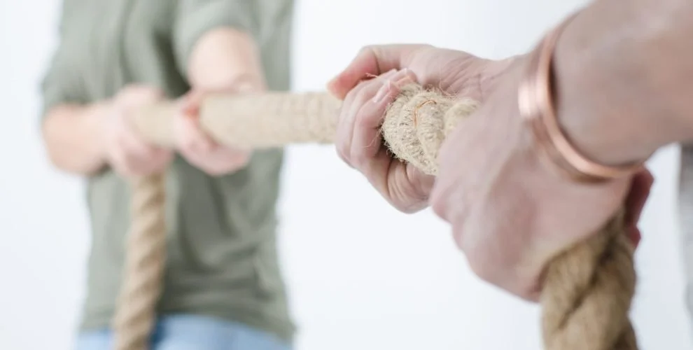 Polarisering i psykoterapi