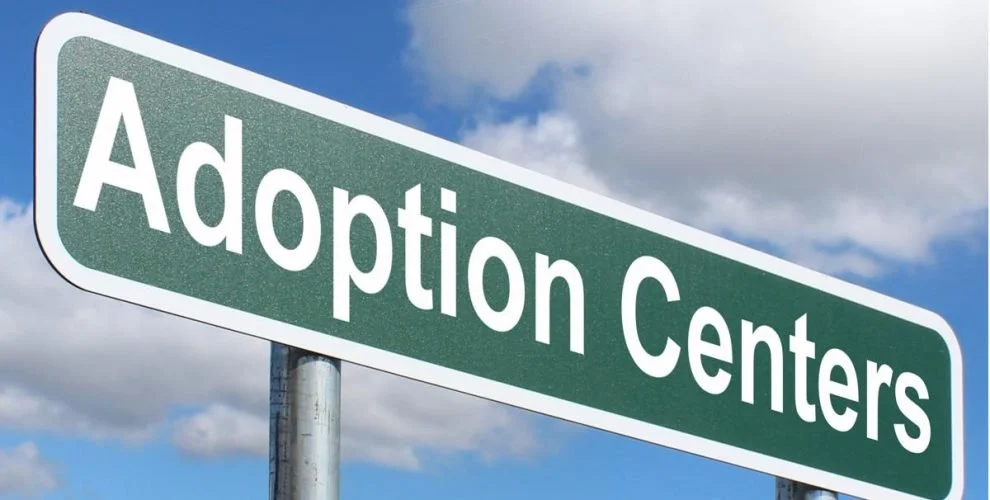 Mette F. Hvad var det lige du sagde?