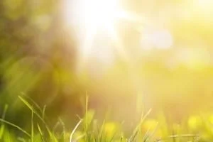 Nyhedsbrev foråret 2020