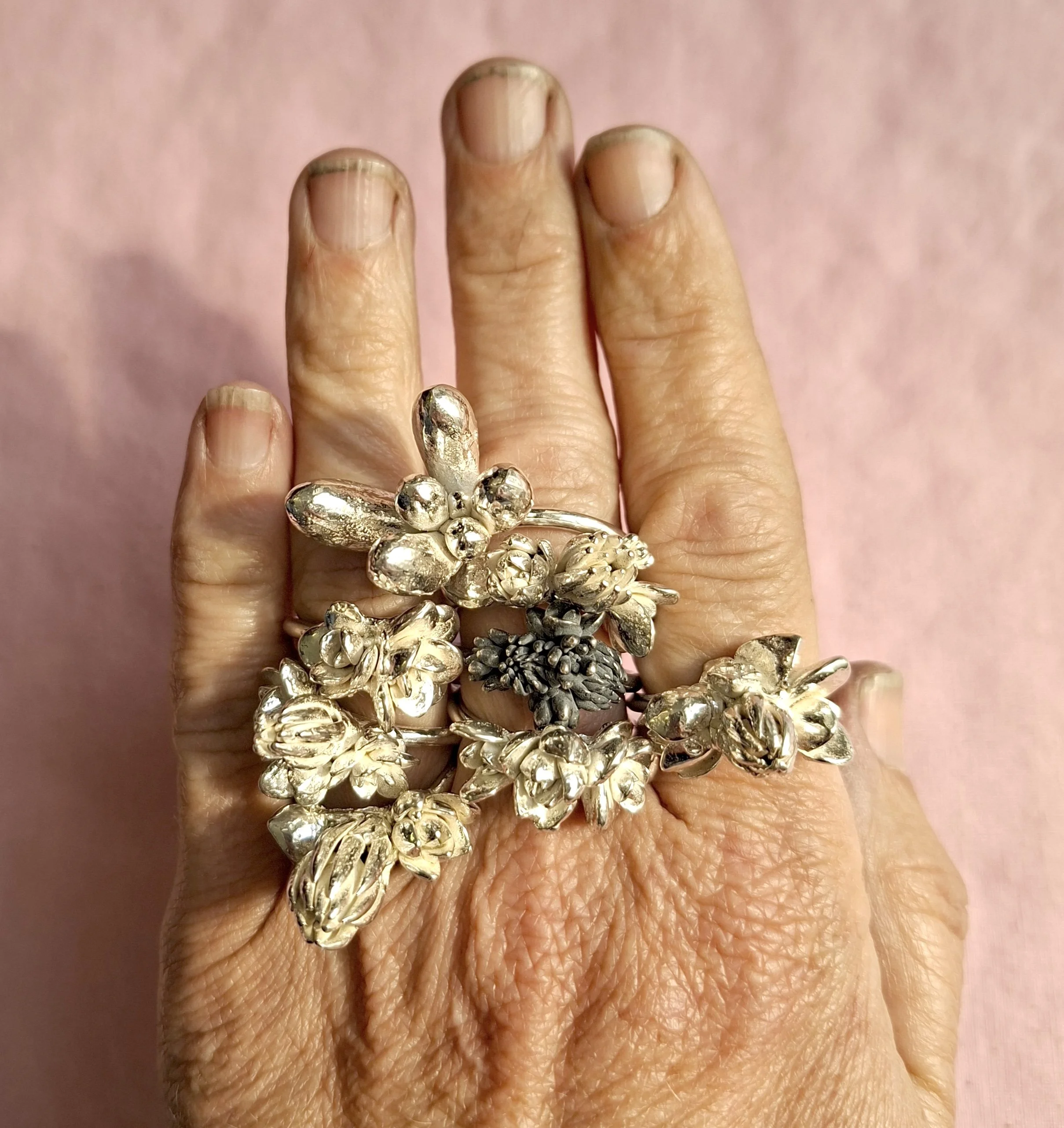 plant rings bracket 5b.jpg