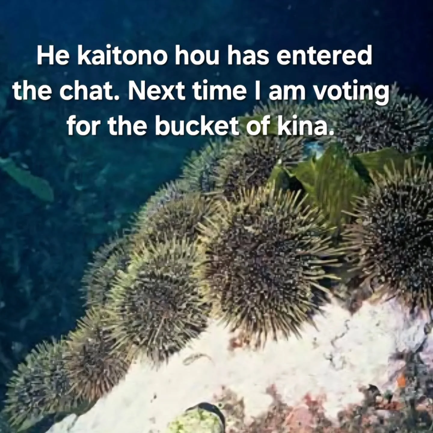 New candidate just dropped.