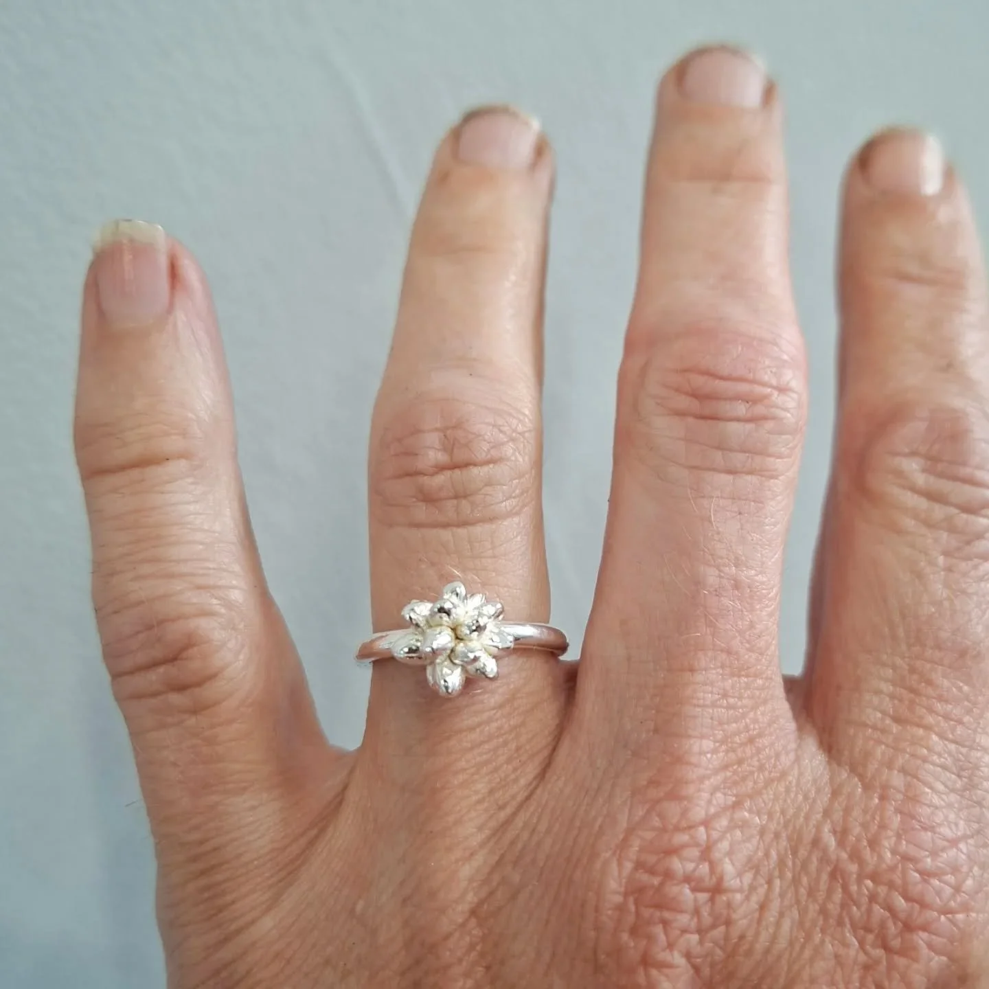 Archive sale of the plant ring project I did over 2014-2015. 
Have just realised archive sale is a fancy way of selling old work.
They will be up on my website for a limited time from 10am Aotearoa time, 2 February 2026.