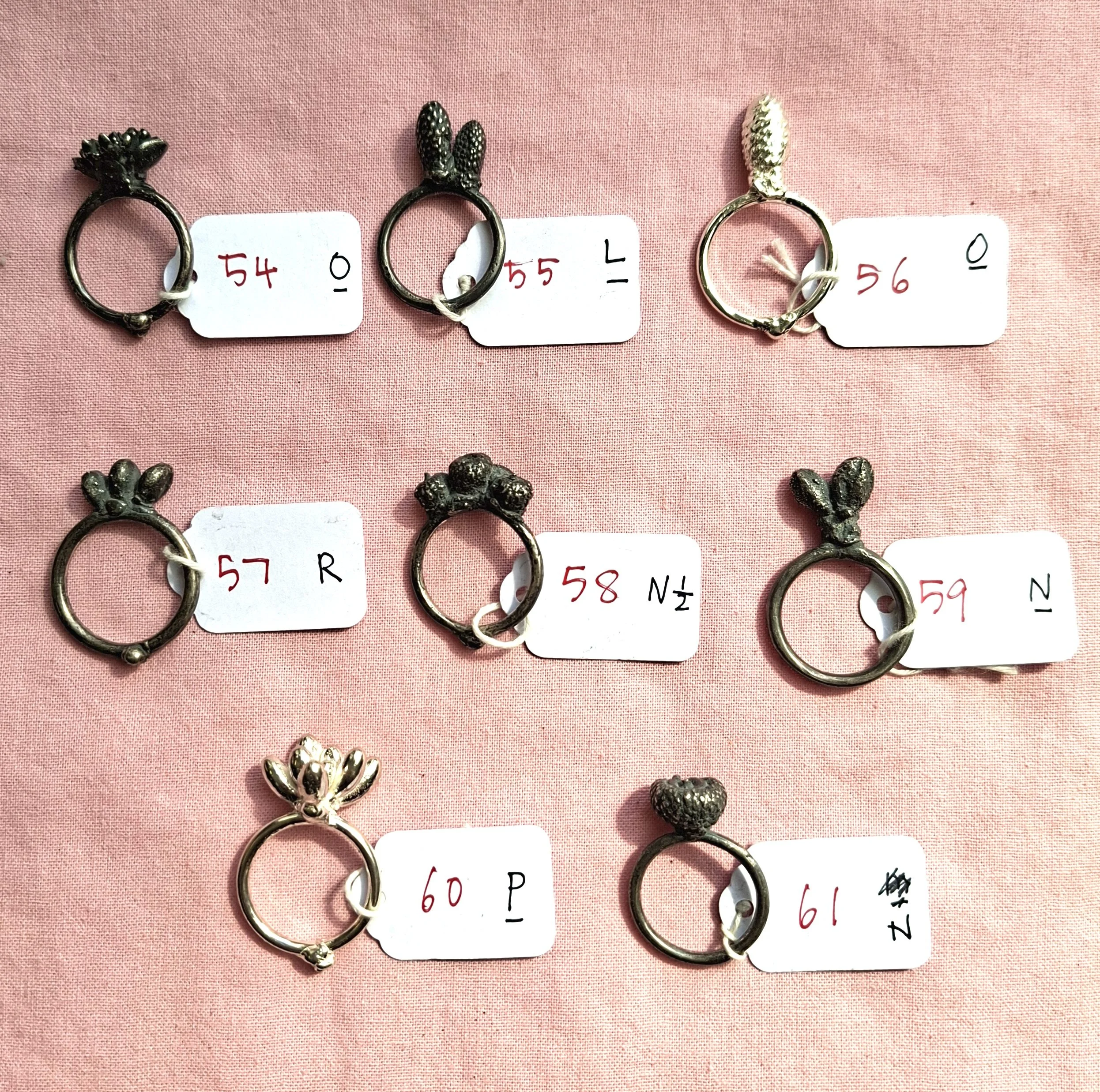 Plant rings bracket 4a.jpg