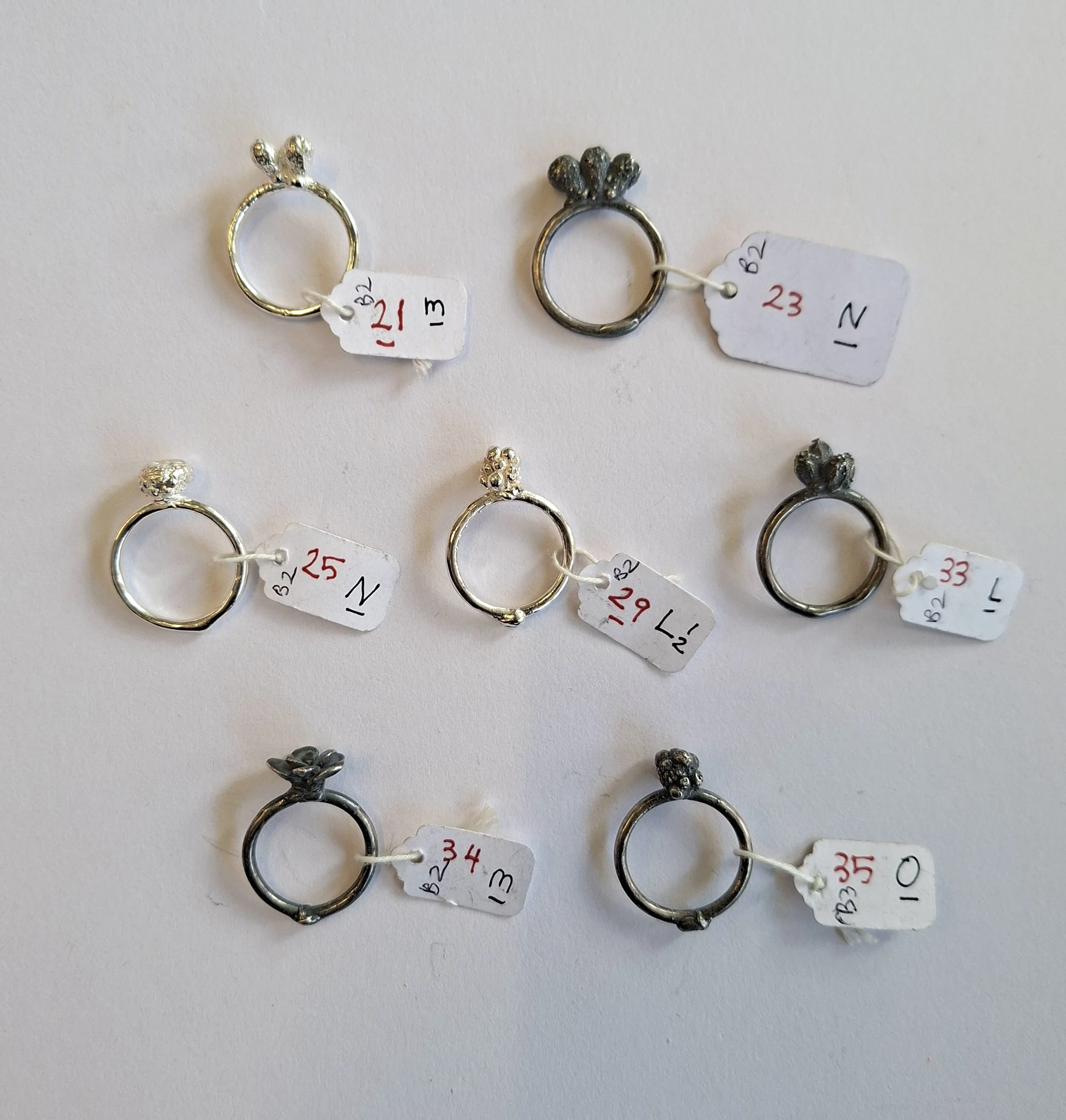 Plant rings bracket 2 g.jpg