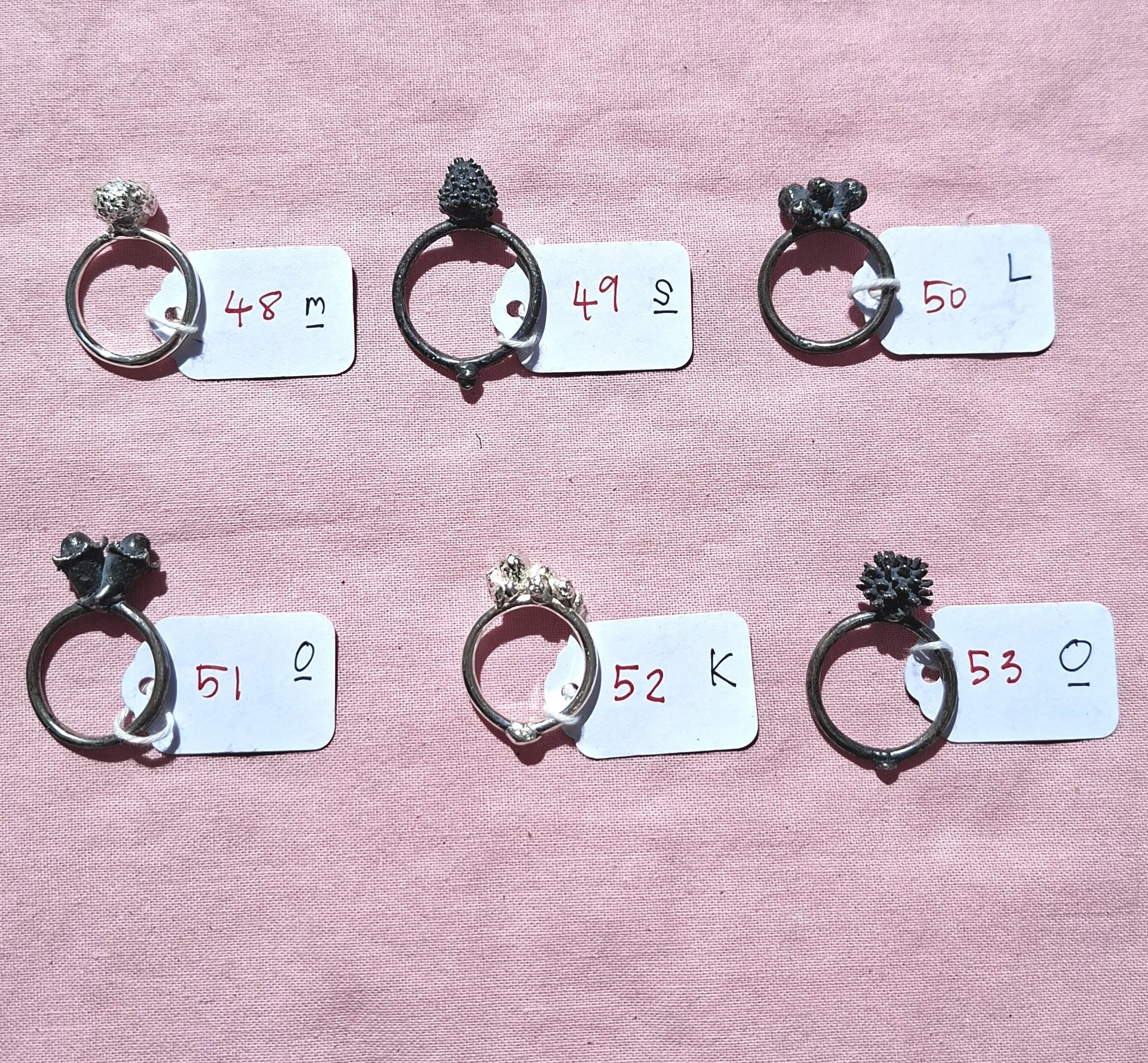 plant rings bracket 3b.jpg