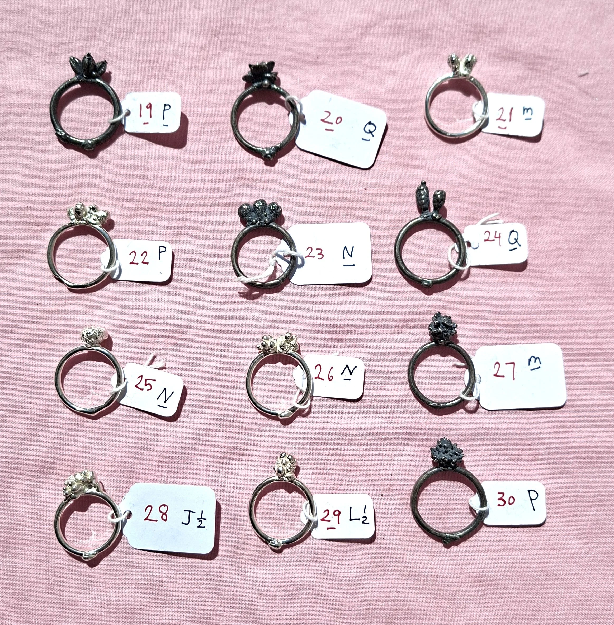 Plant rings bracket 2a.jpg