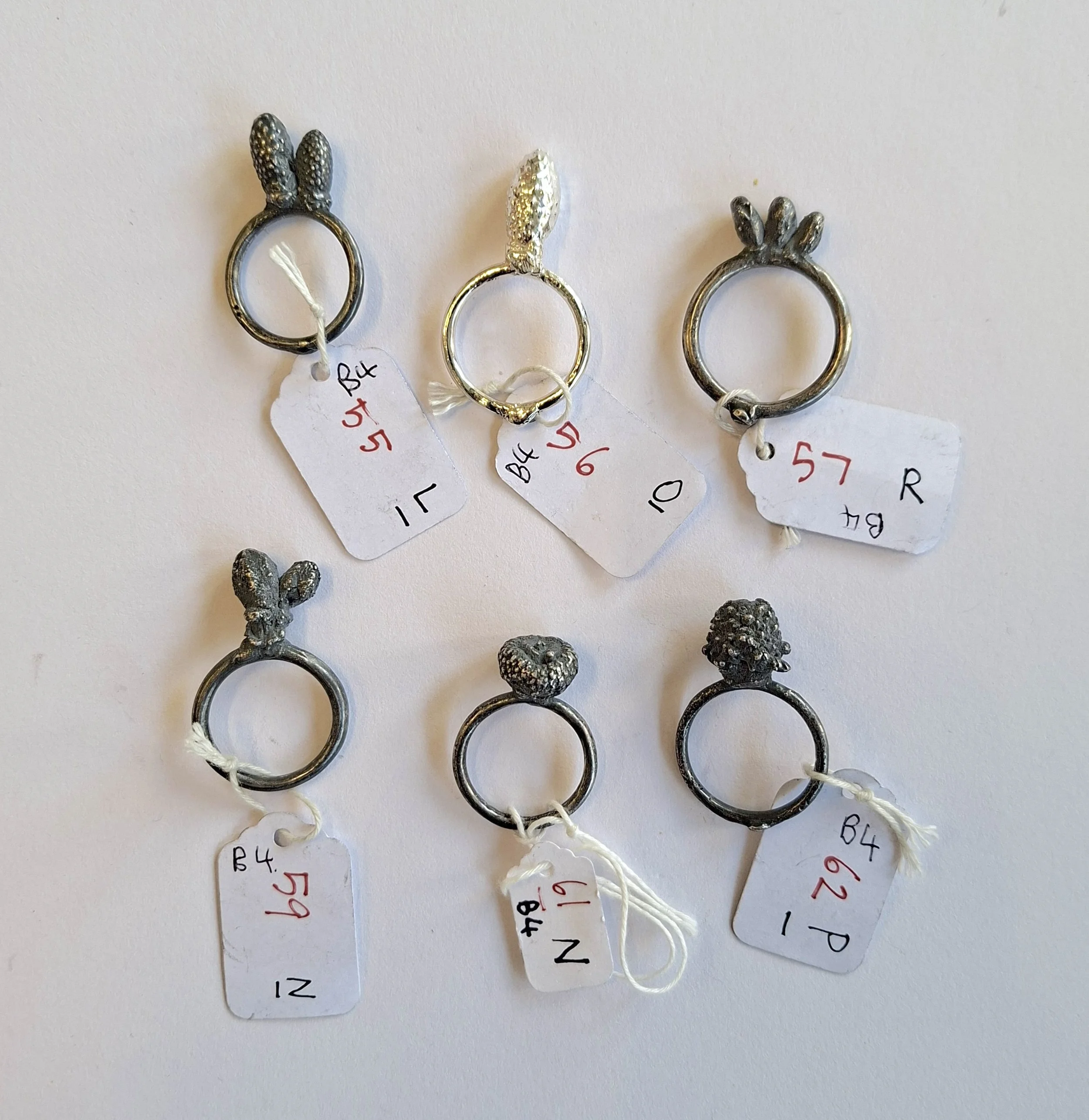 Plant rings bracket 4h.jpg