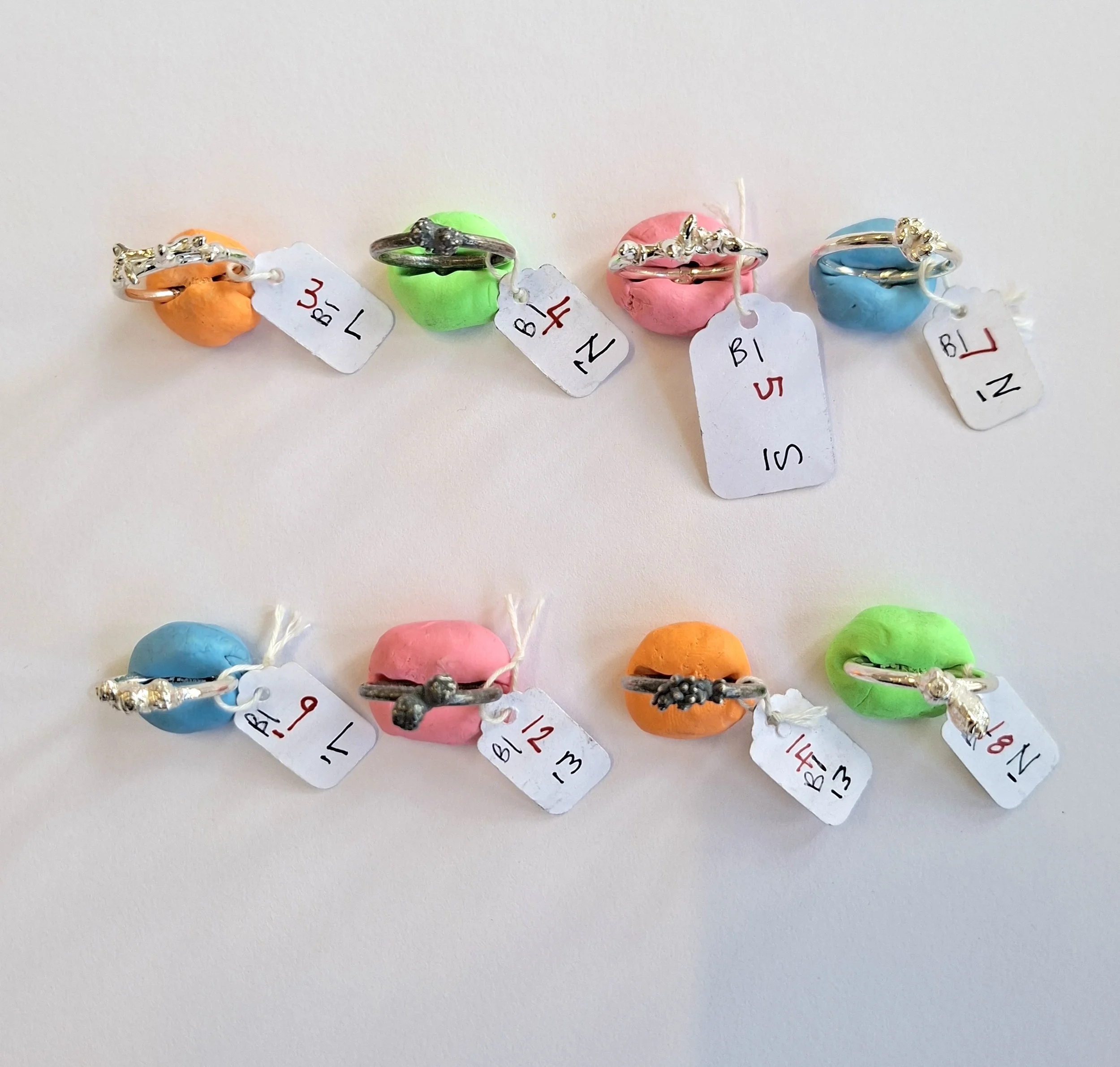 Plant rings bracket 1g.jpg