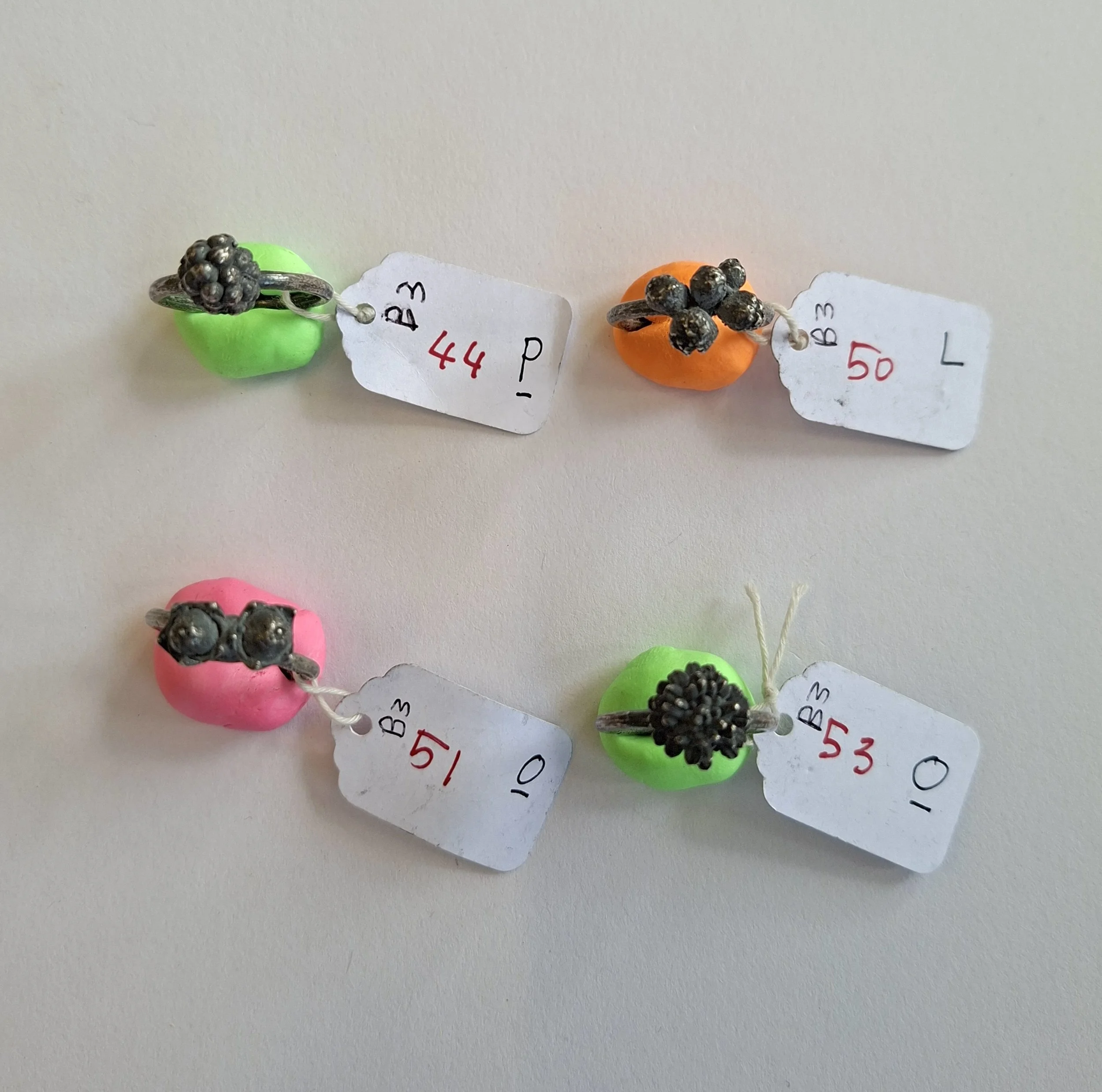 Plant rings bracket 3f.jpg