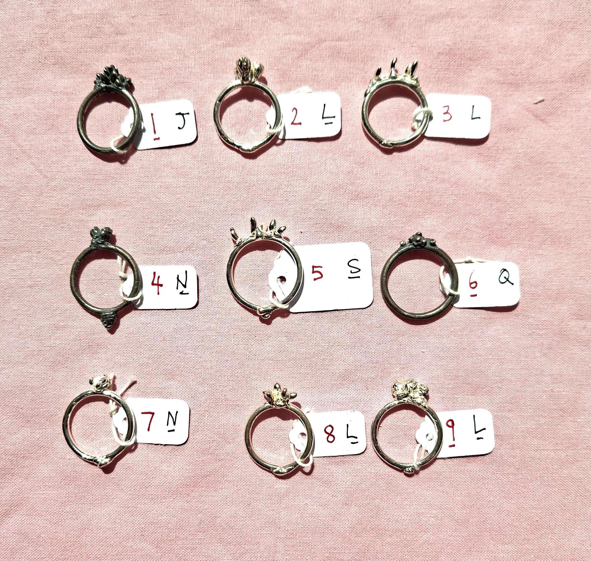 plant rings bracket 1a.jpg