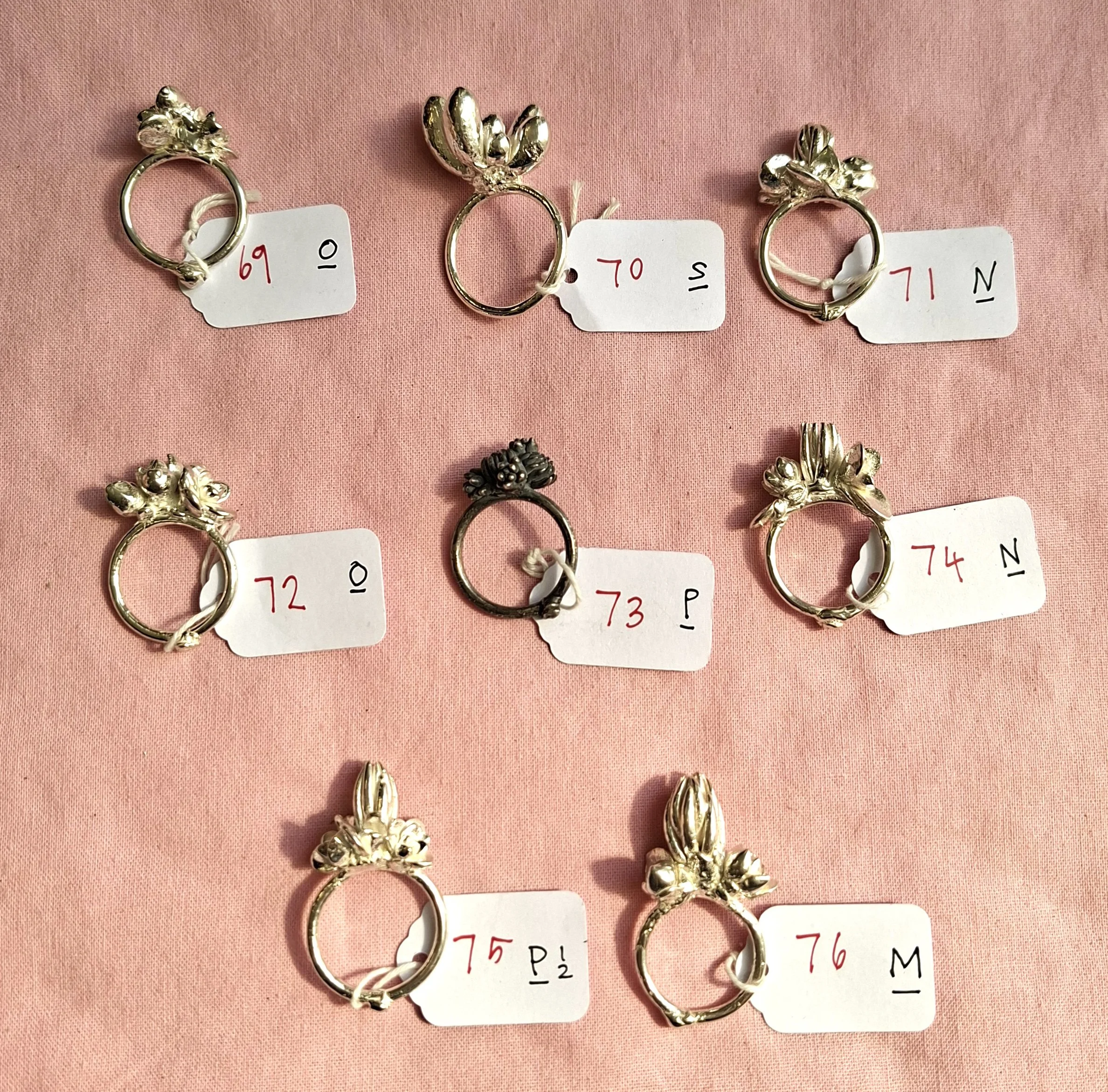 Plant rings bracket 5a.jpg