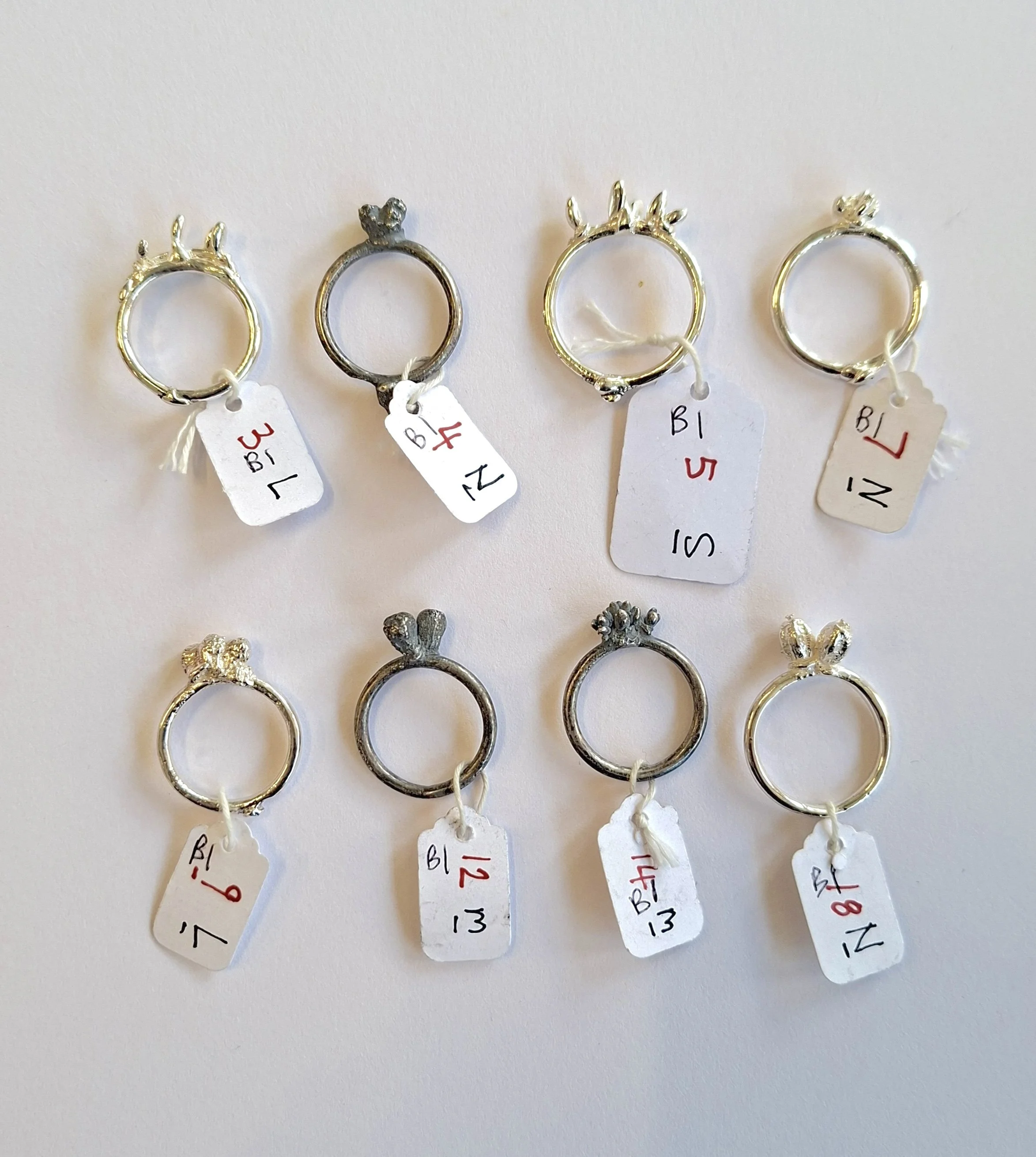 plant rings bracket 1 f.jpg