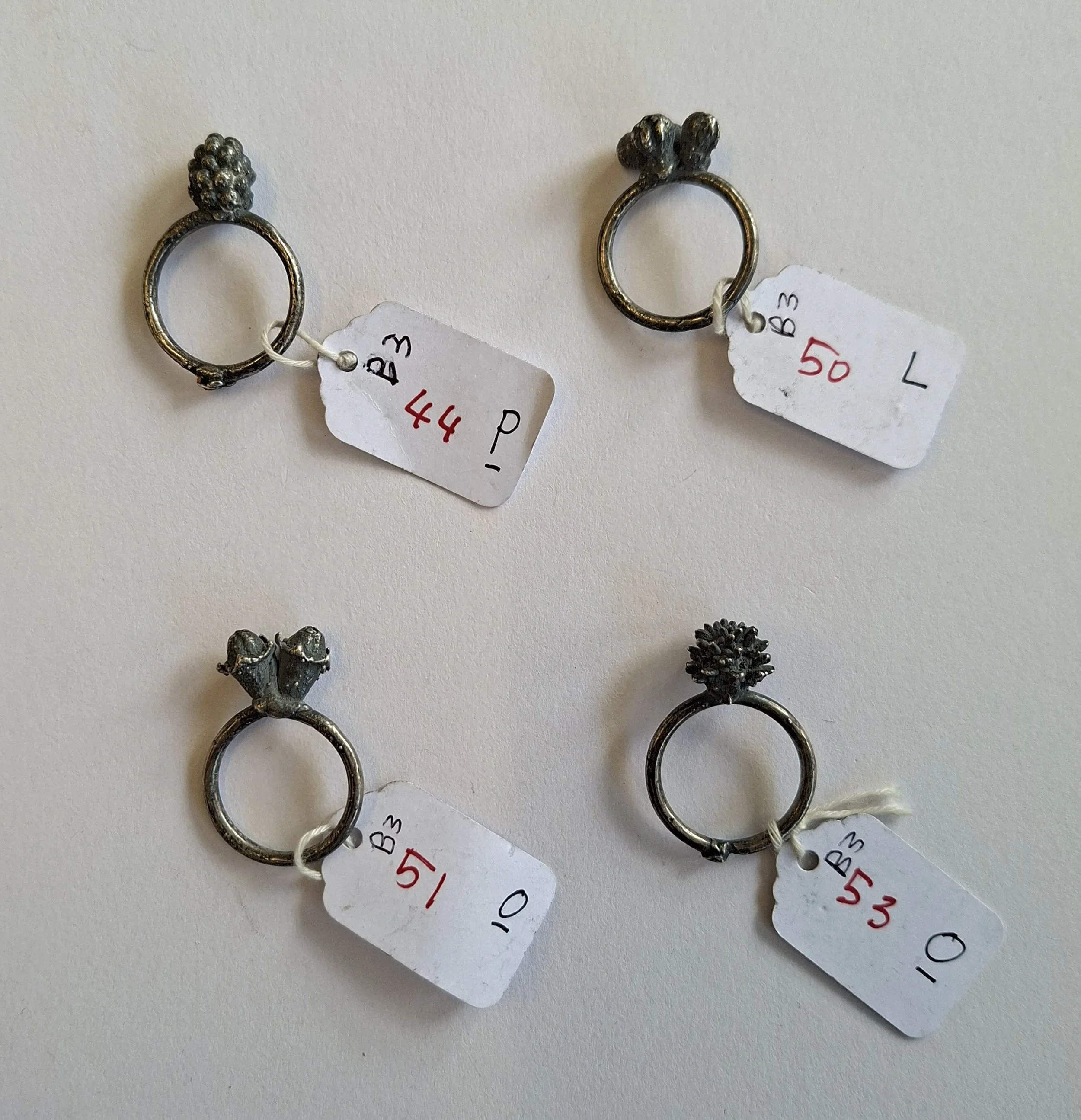 Plant rings bracket 3 g.jpg