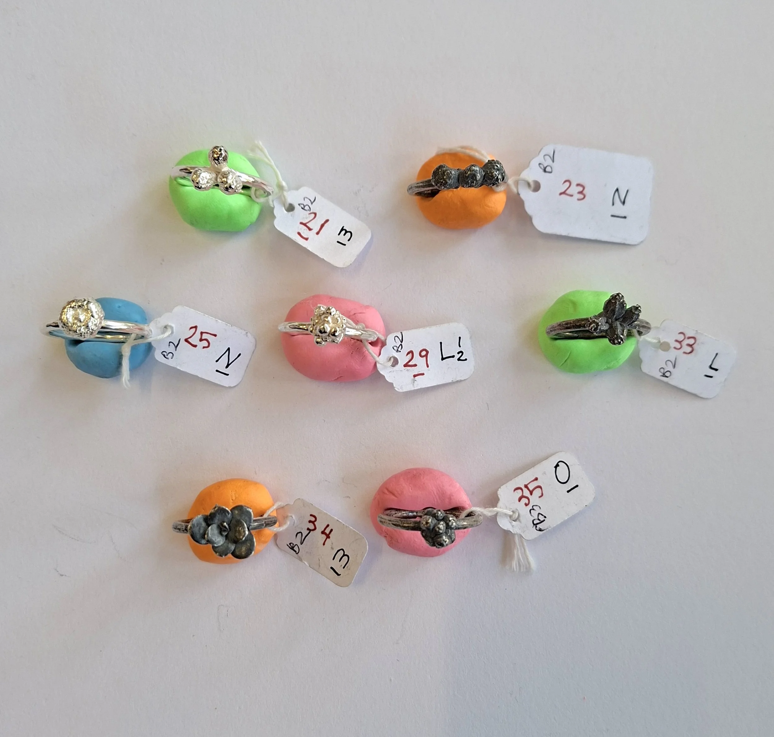 Plant rings bracket2 f.jpg