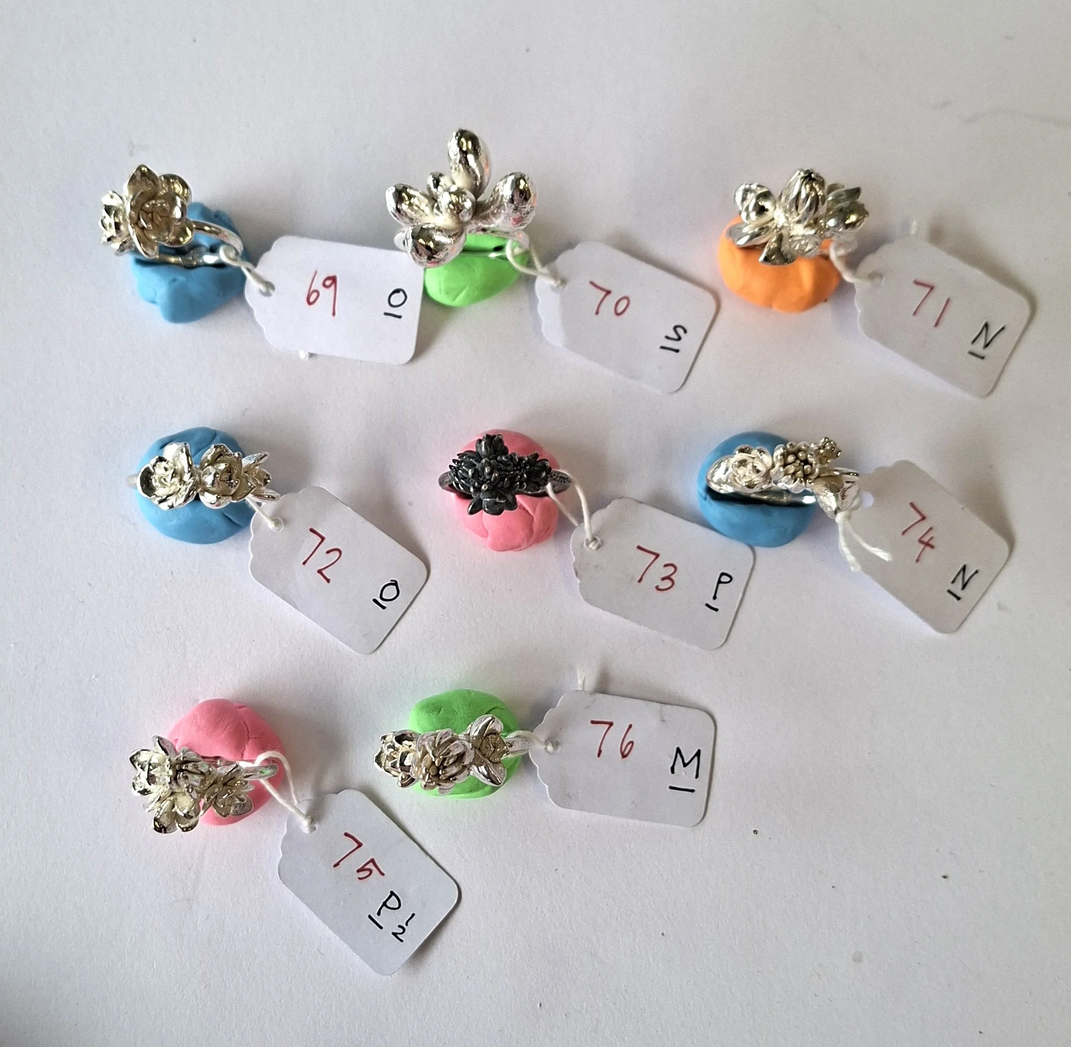 plant rings bracket 5d.jpg