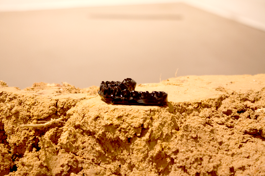 -2012-IMG_8135.png