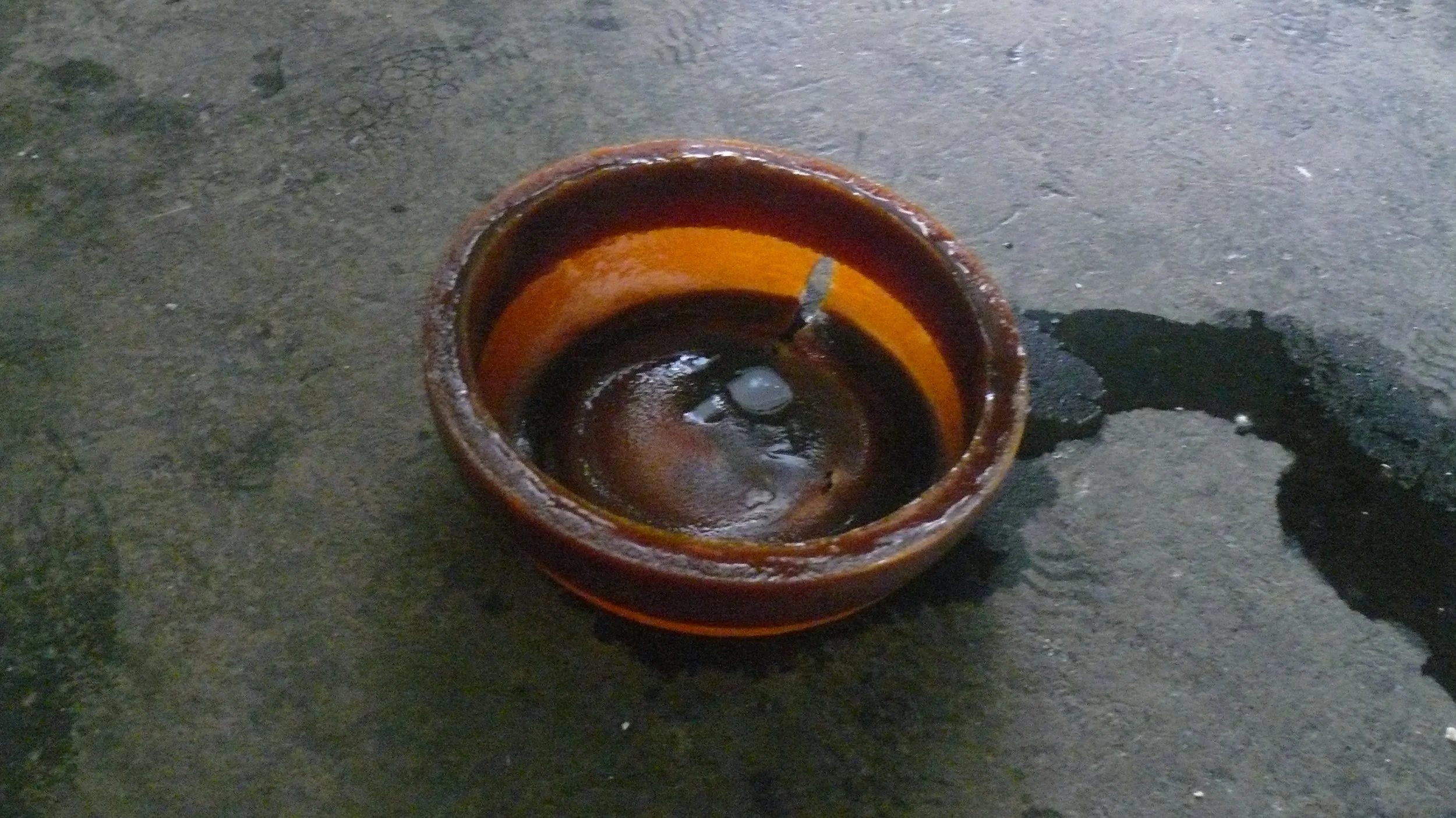 P1050351.JPG