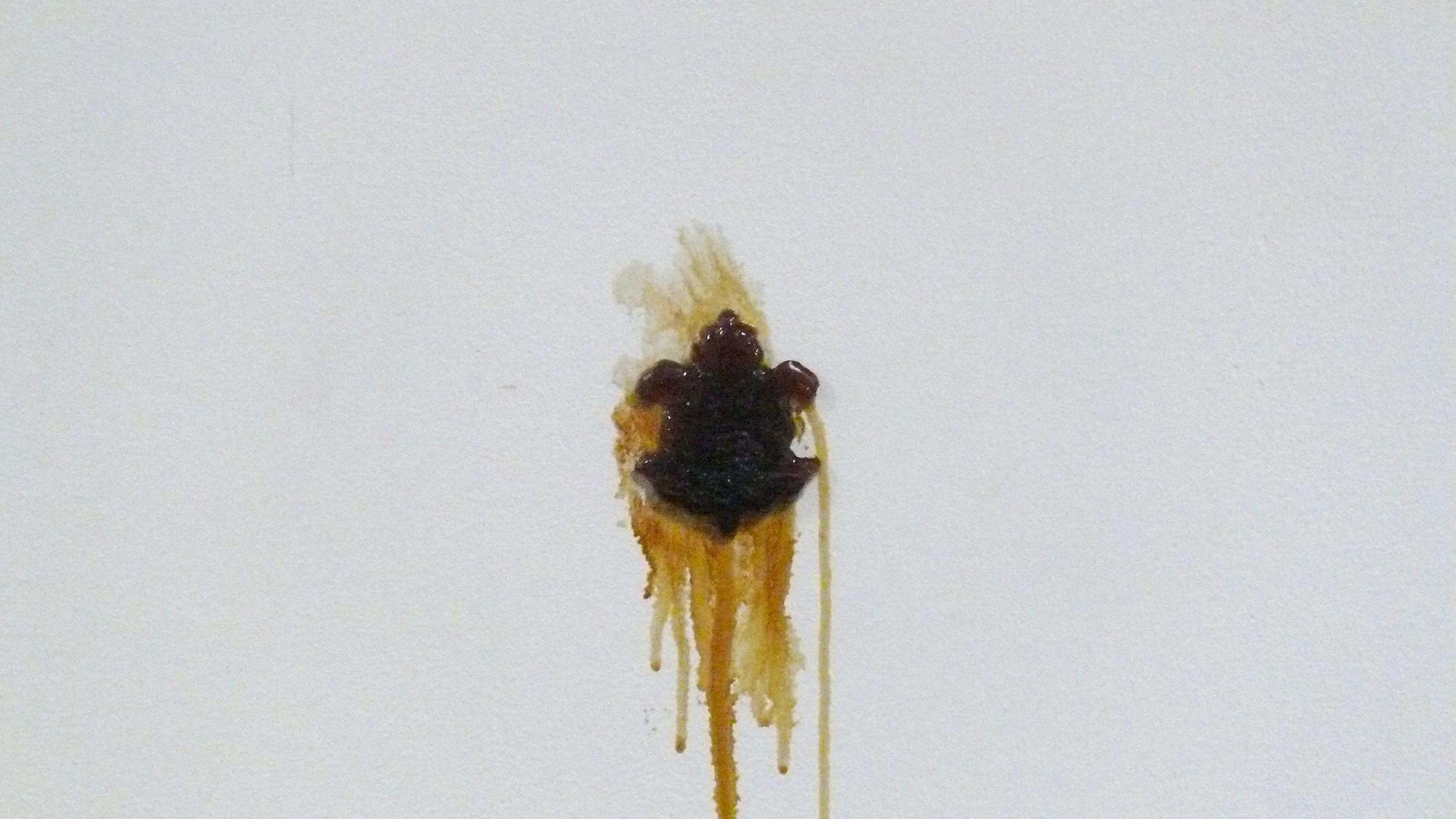 P1050336 cc.jpg
