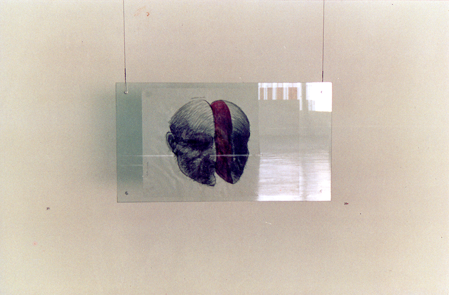Divided Head - graphite on vellum, glass, fasteners, wire