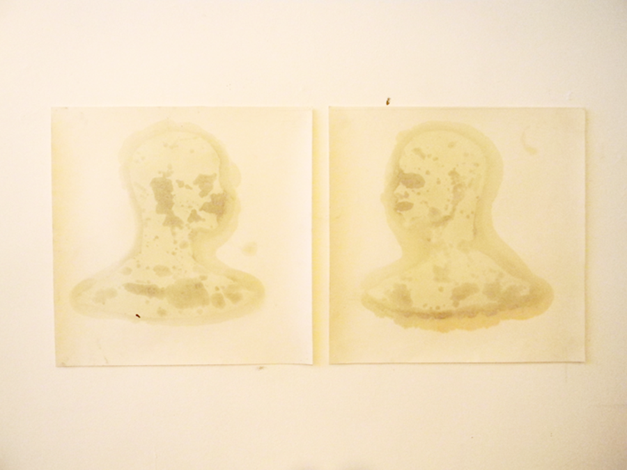 -2012-Busts.png