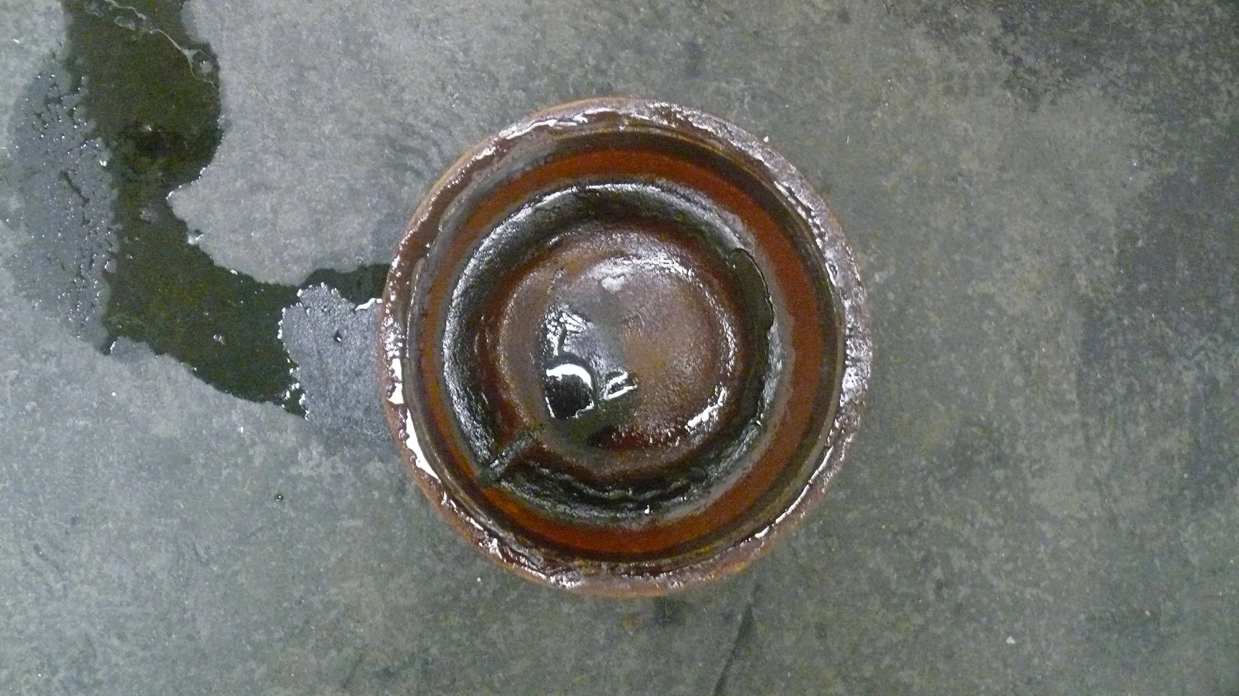P1050353.JPG