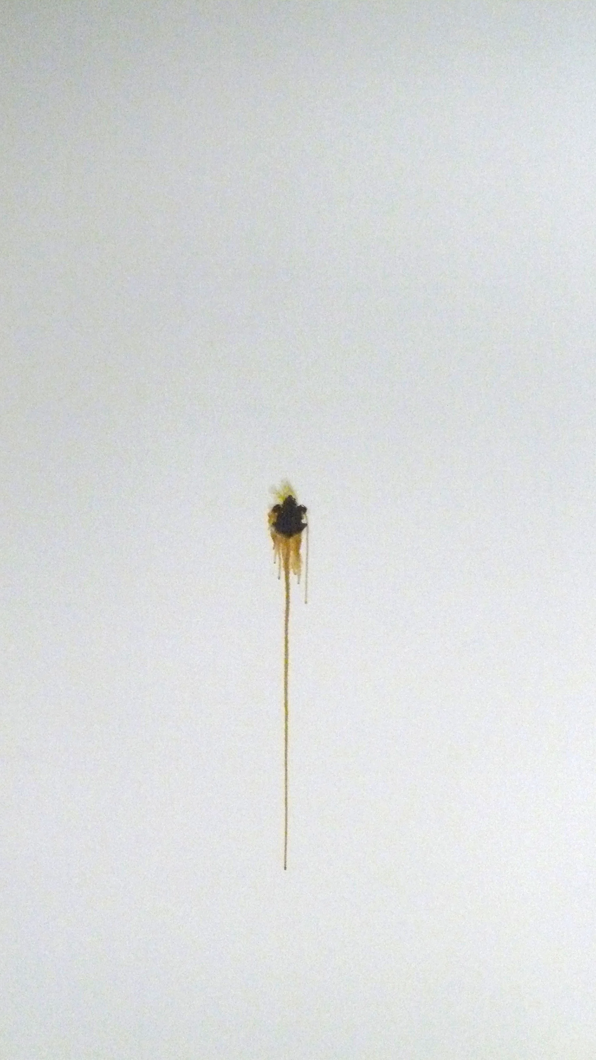 P1050337 cc.jpg