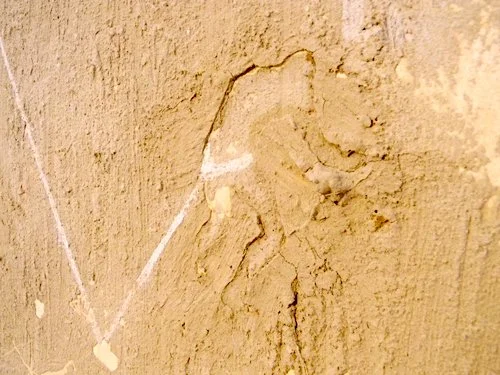 DSCN1897 g.jpg