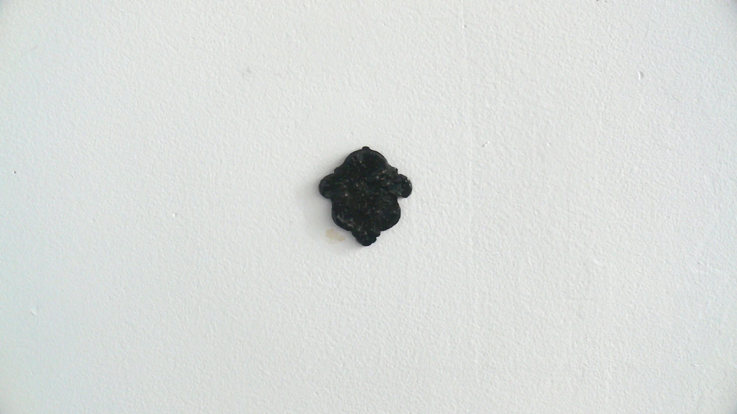 P1050259 cc.jpg