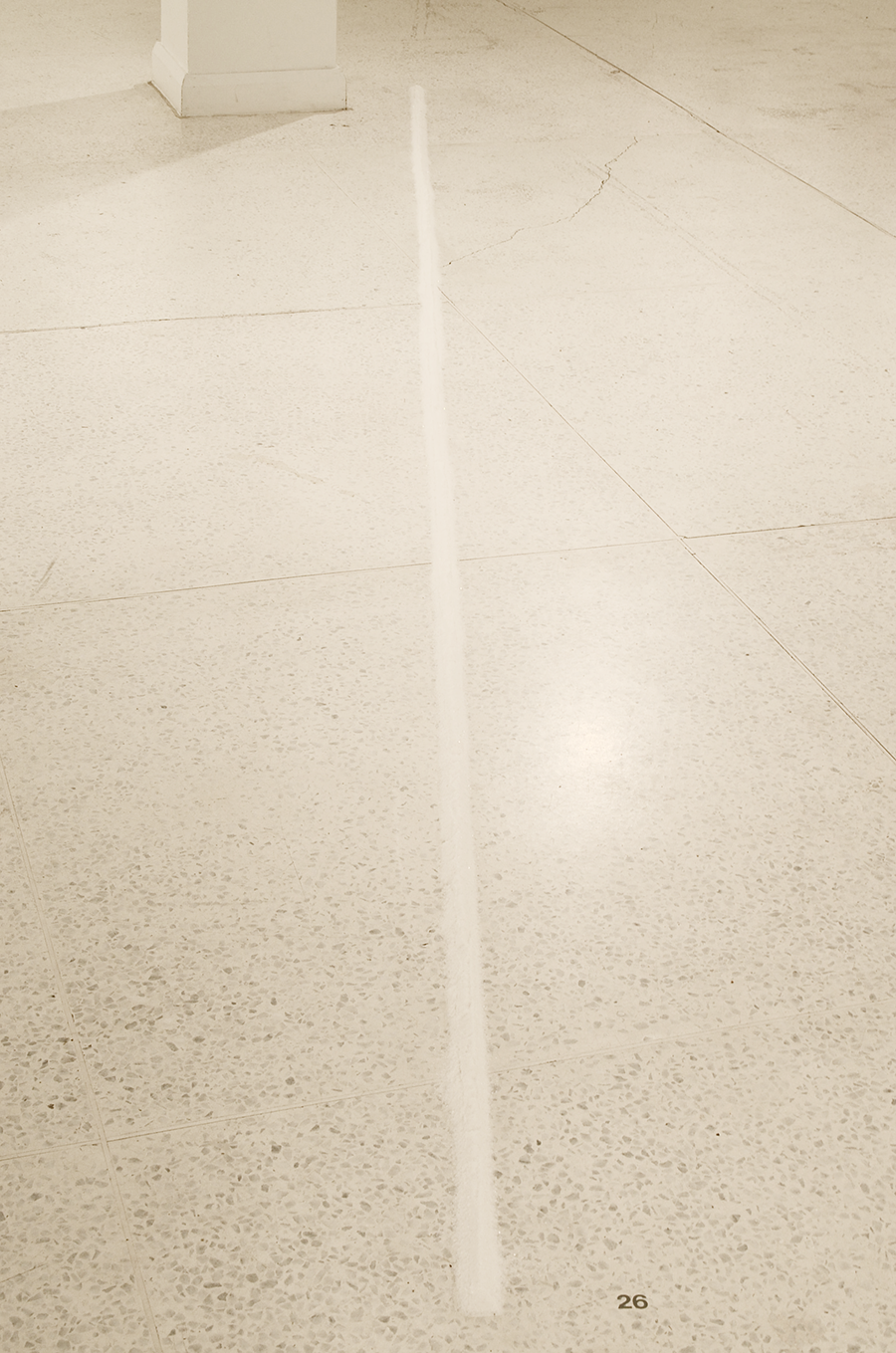 DSC_0027.png