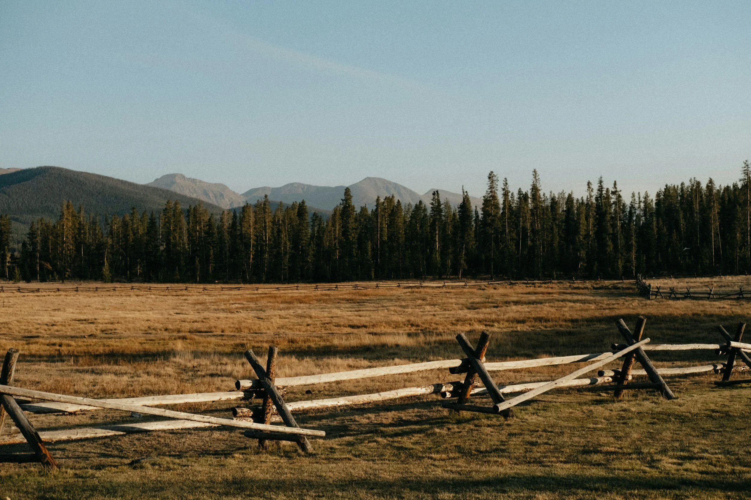 unsplash-image-tHF3CHwXIRE.jpg