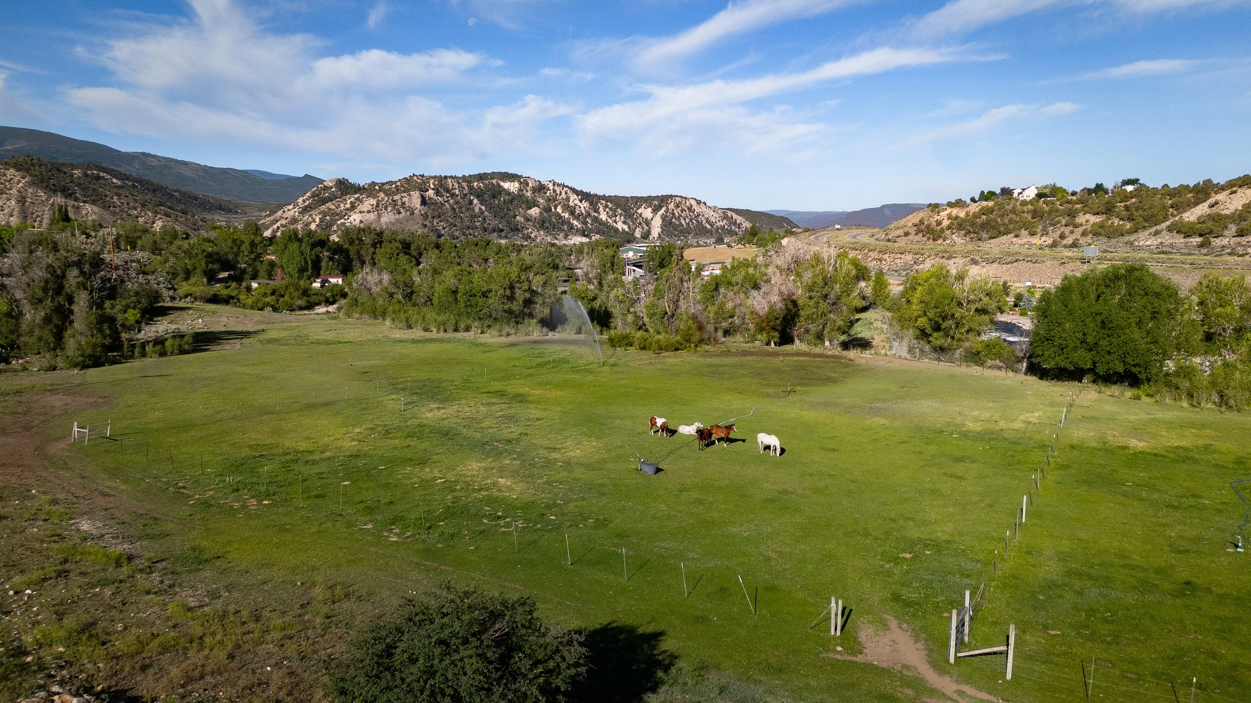 DJI_20250615081435_0039_D.jpg