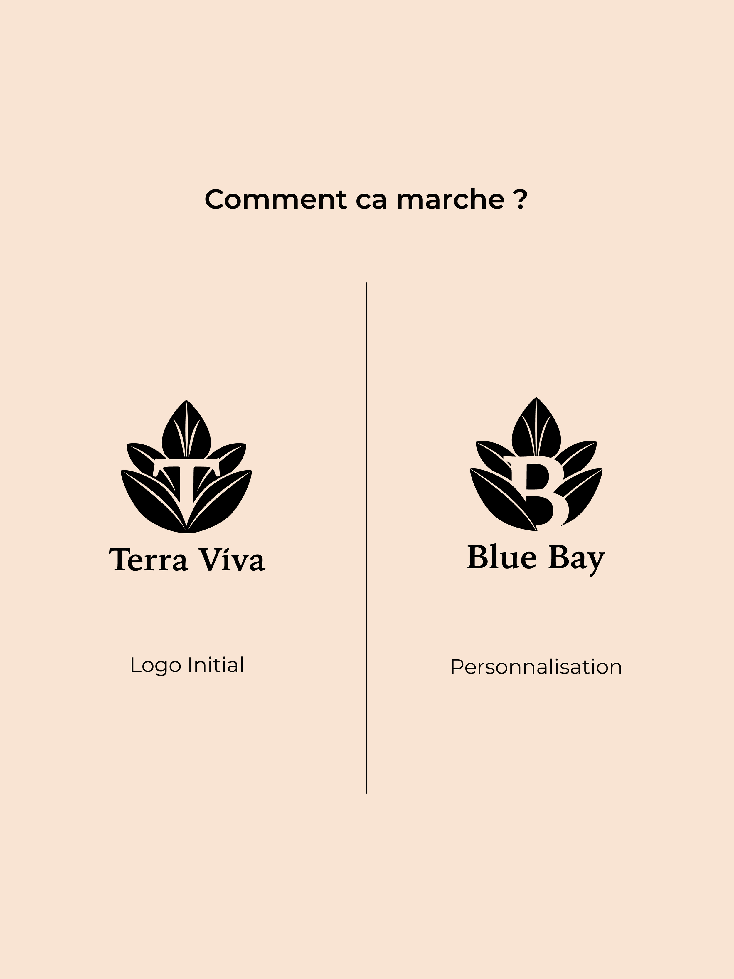 nature-logo-identité visuelle-graphiste-paris-3.png