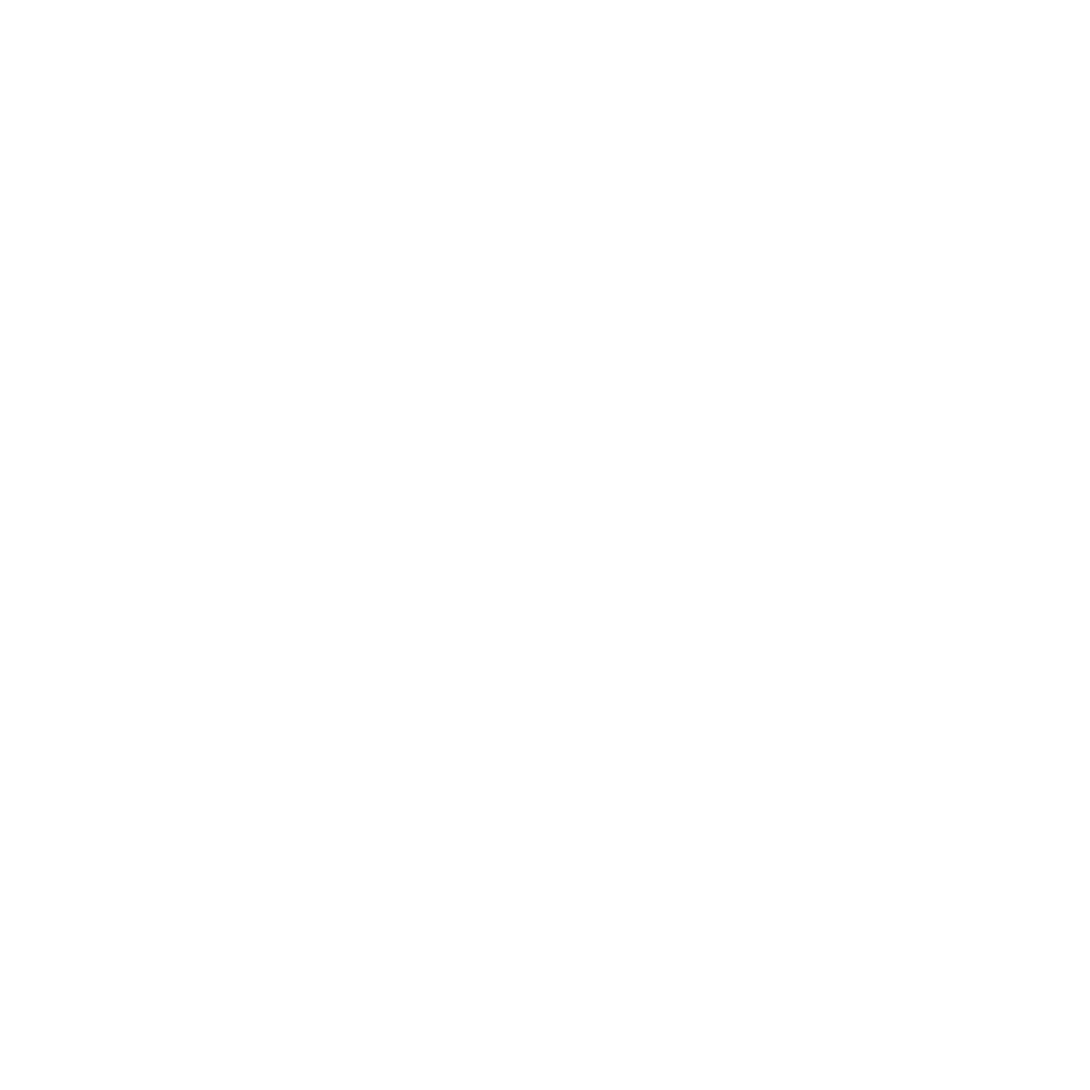 noun-strategy-7902786-FFFFFF.png