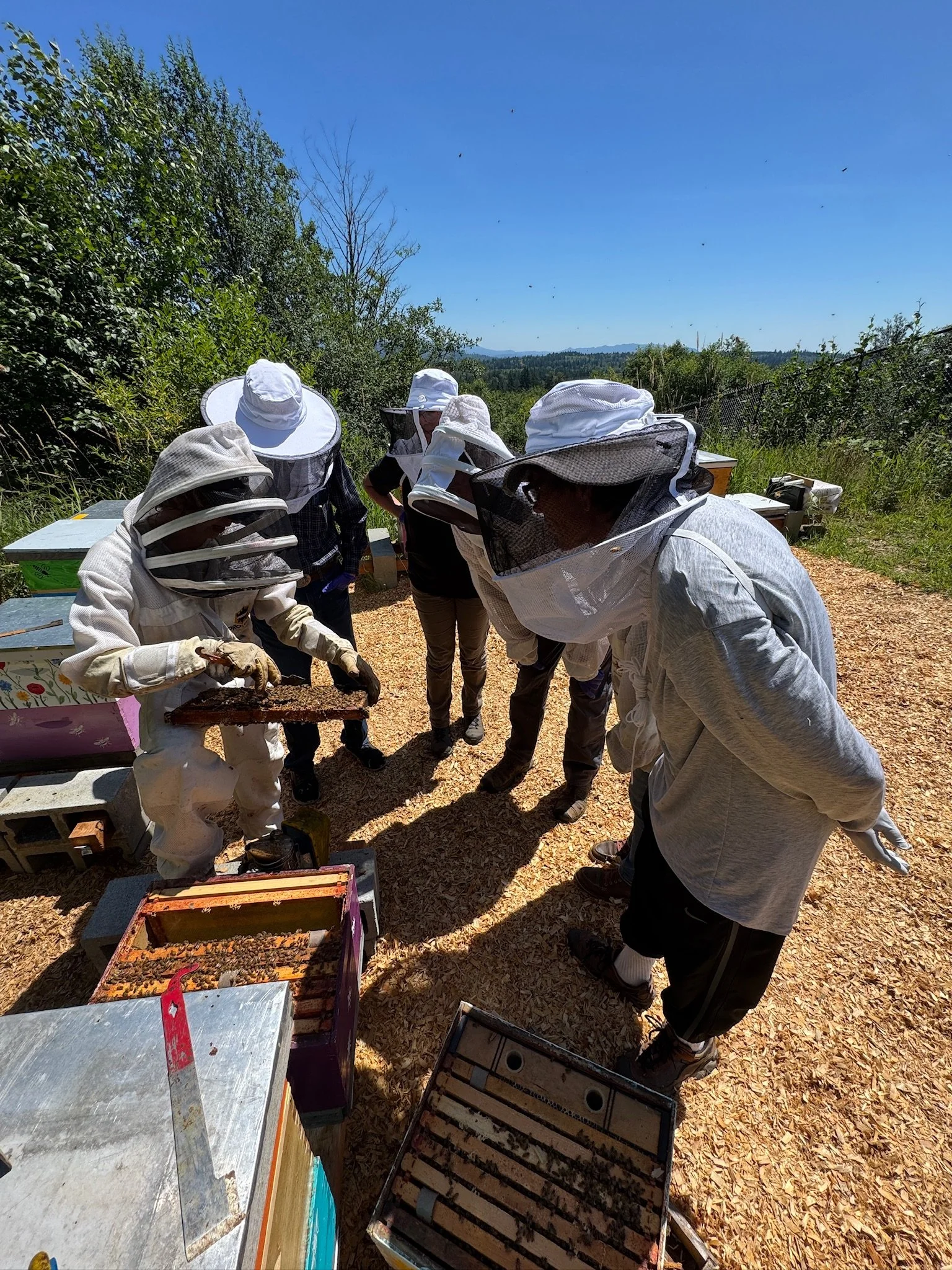 Intro to Beekeeping