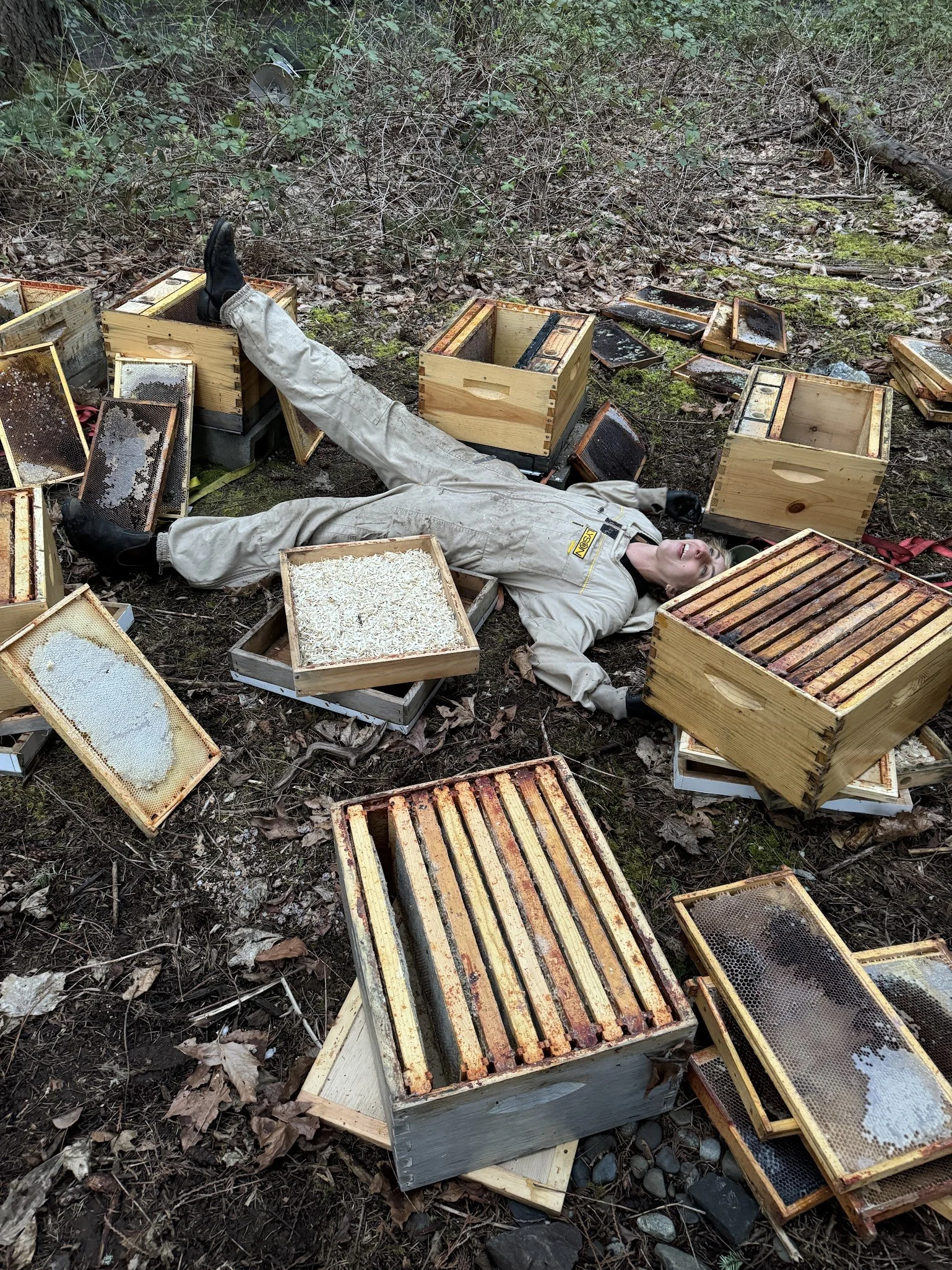 Getting Started in Beekeeping