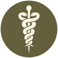 THE GROUNDED PRACTITIONER