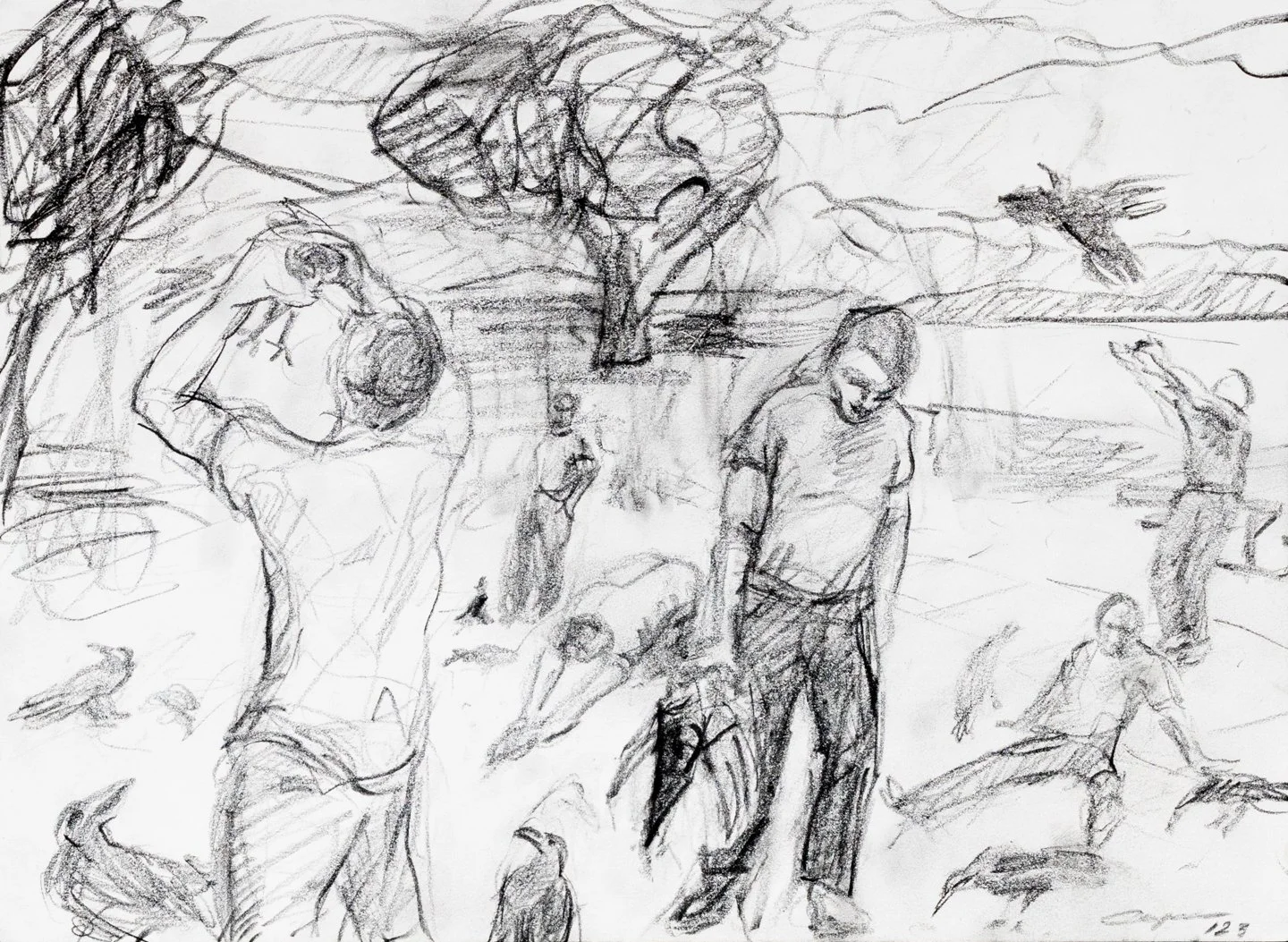 Crows Study IV, Graphite, 8x11", 2023