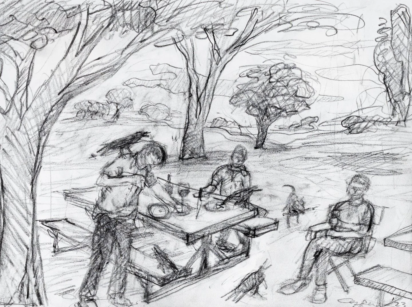 Crows Study III, Graphite, 9x12", 2023