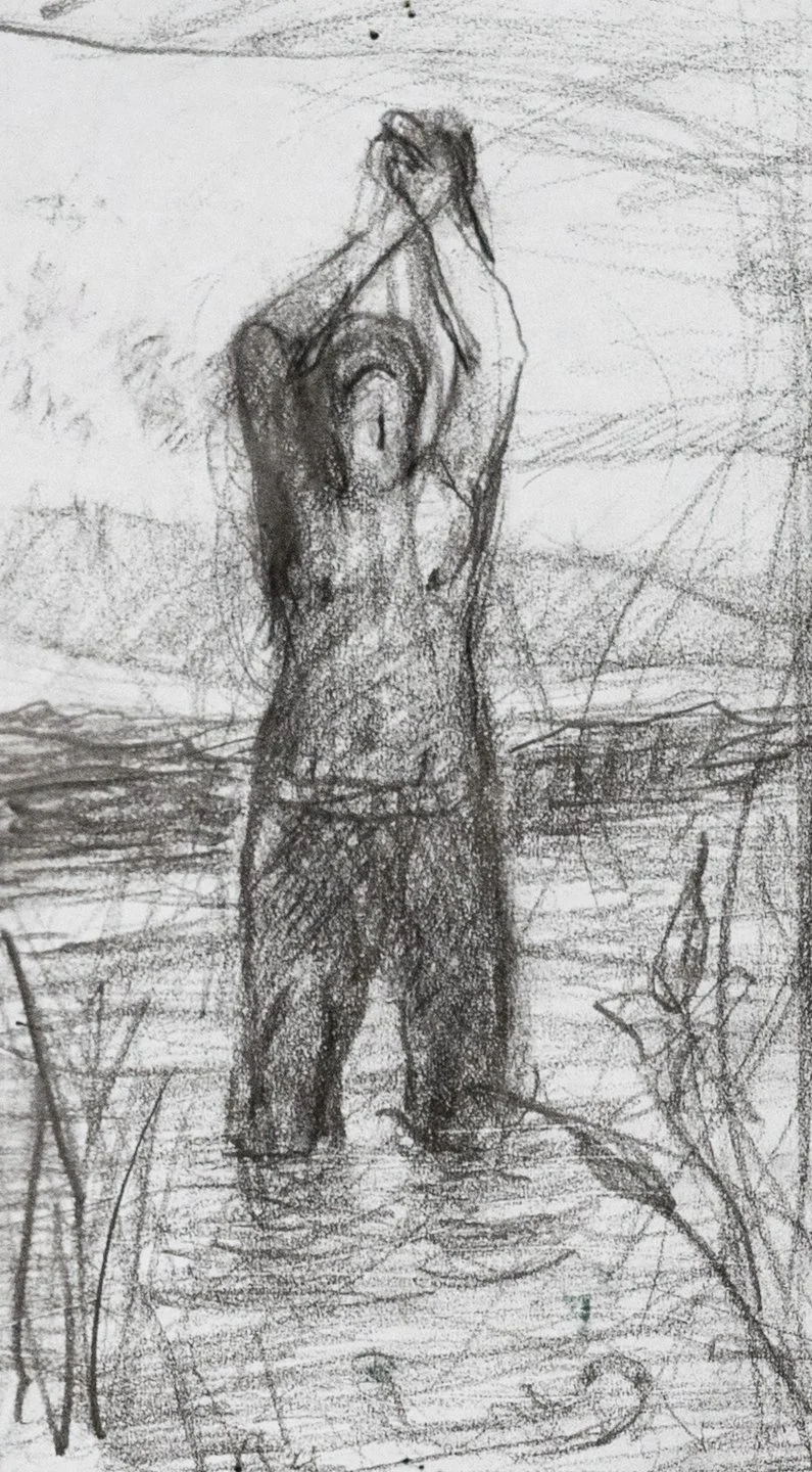 The Wader Study I, Graphite, 9x5", 2024